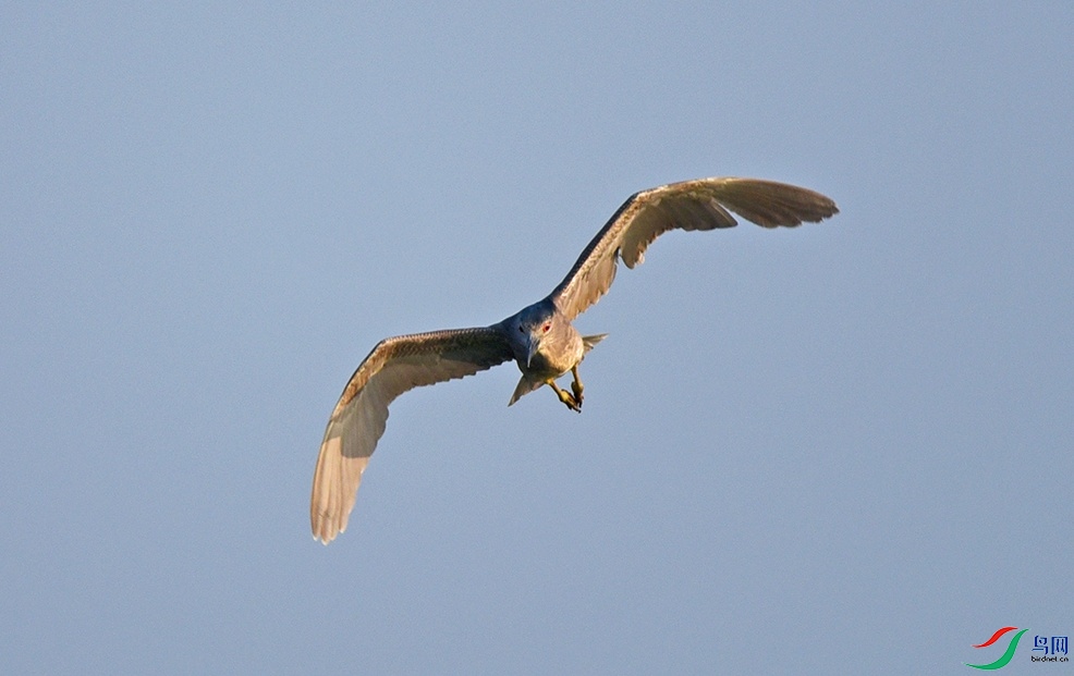 DSC_3597.jpg