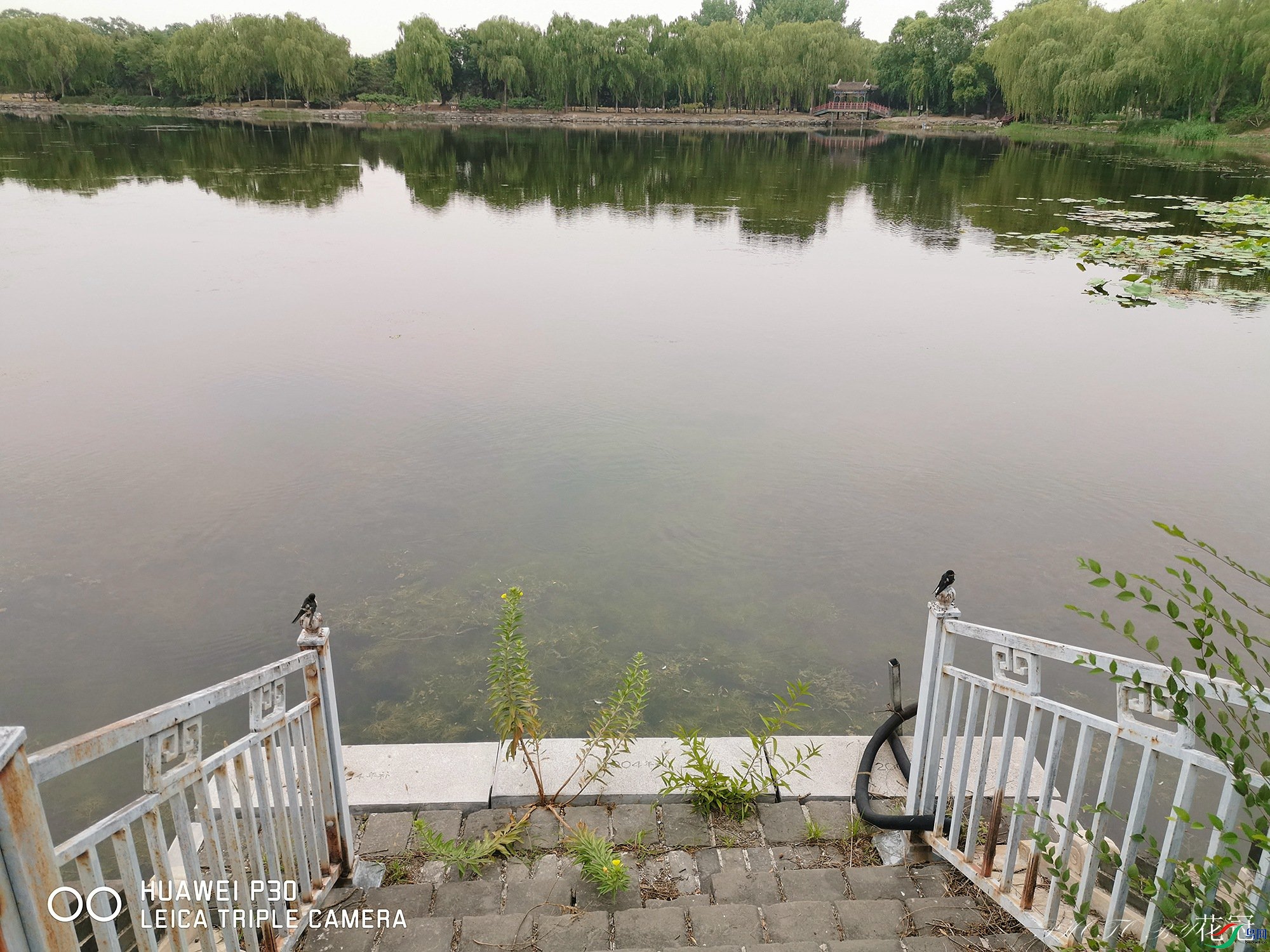 ΢��ͼƬ_20190710085223B-1_����.jpg