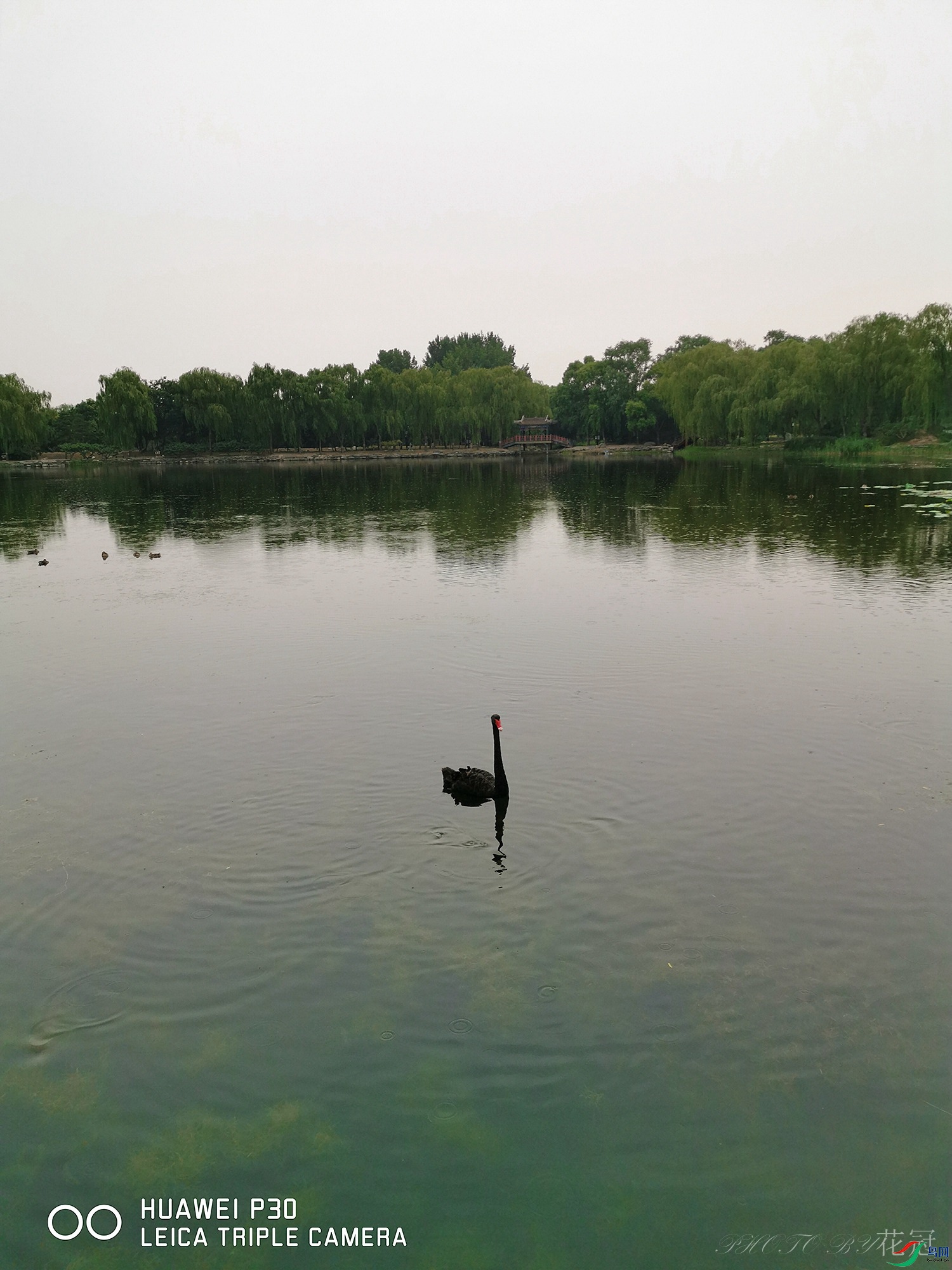 ΢��ͼƬ_20190710085205B-1_����.jpg