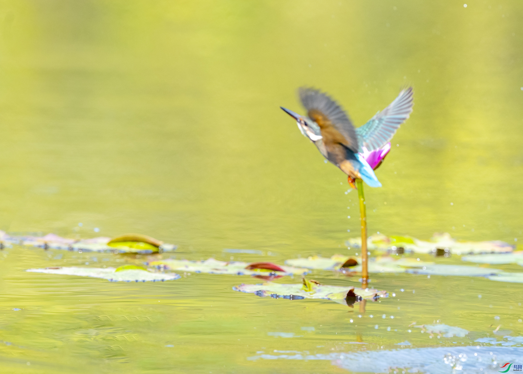 0353 ����.jpg