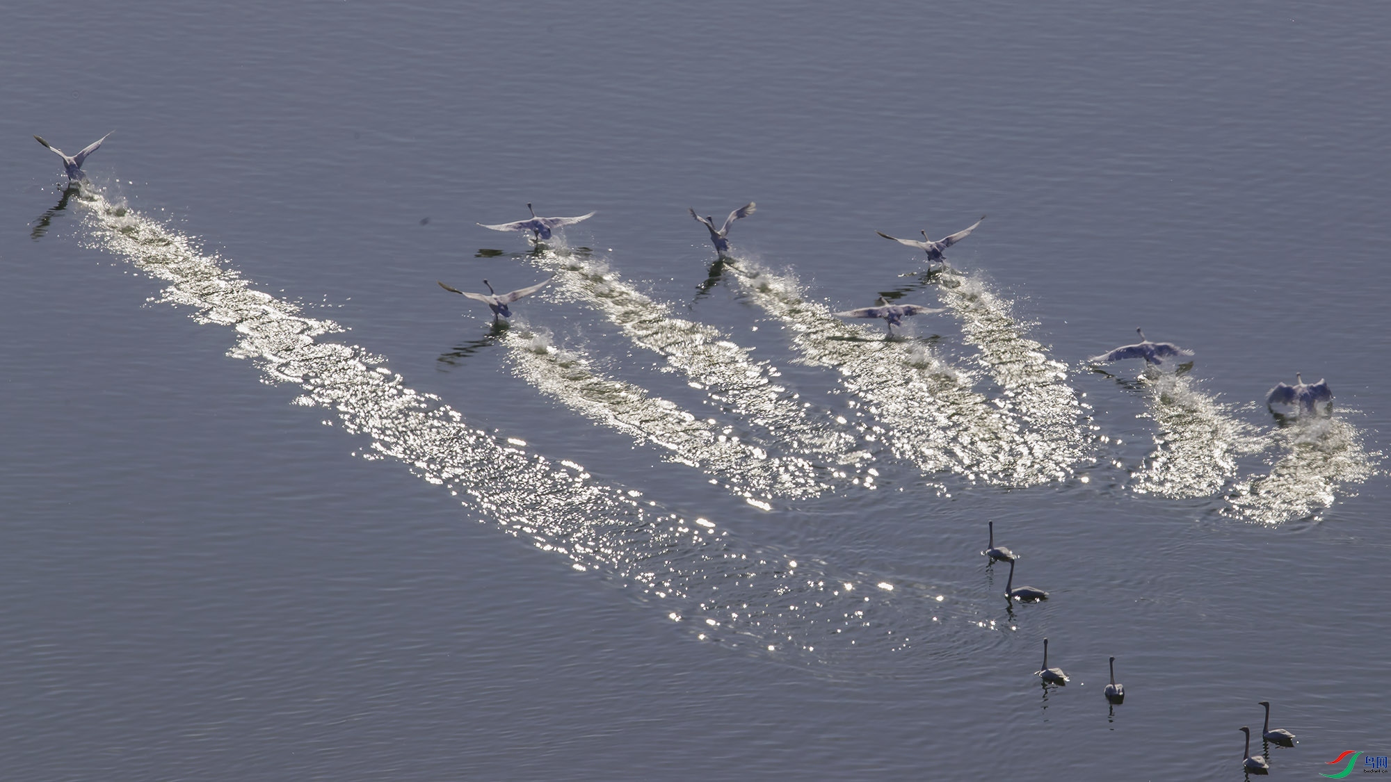 AR2I8125.psd-2.jpg