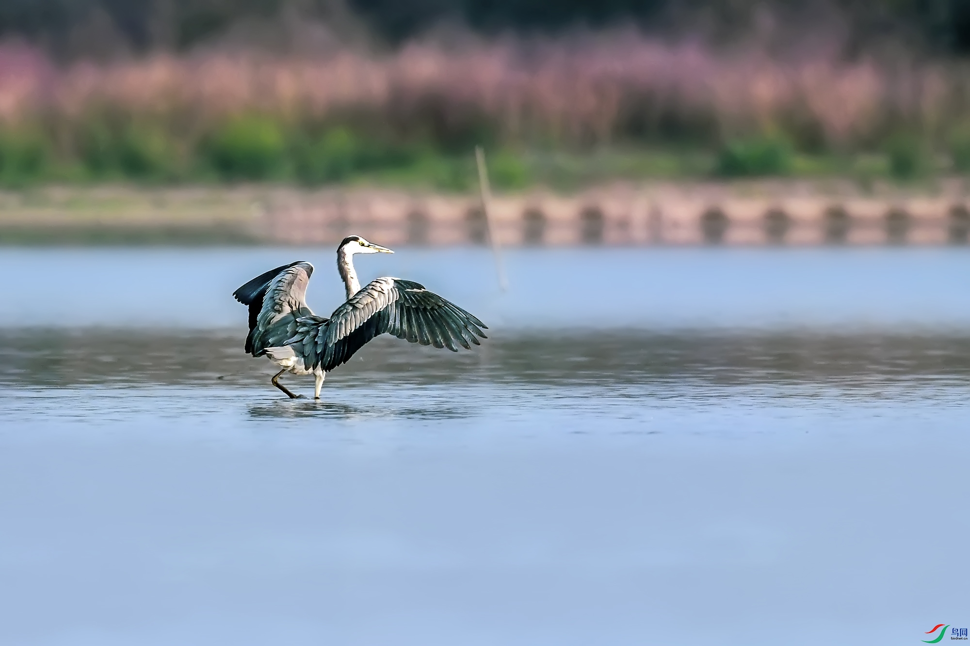 DSC_8383.jpg