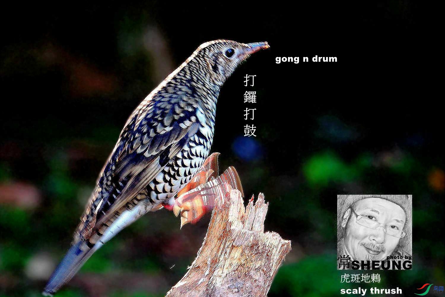 sd DSC04531 4nmete.jpg