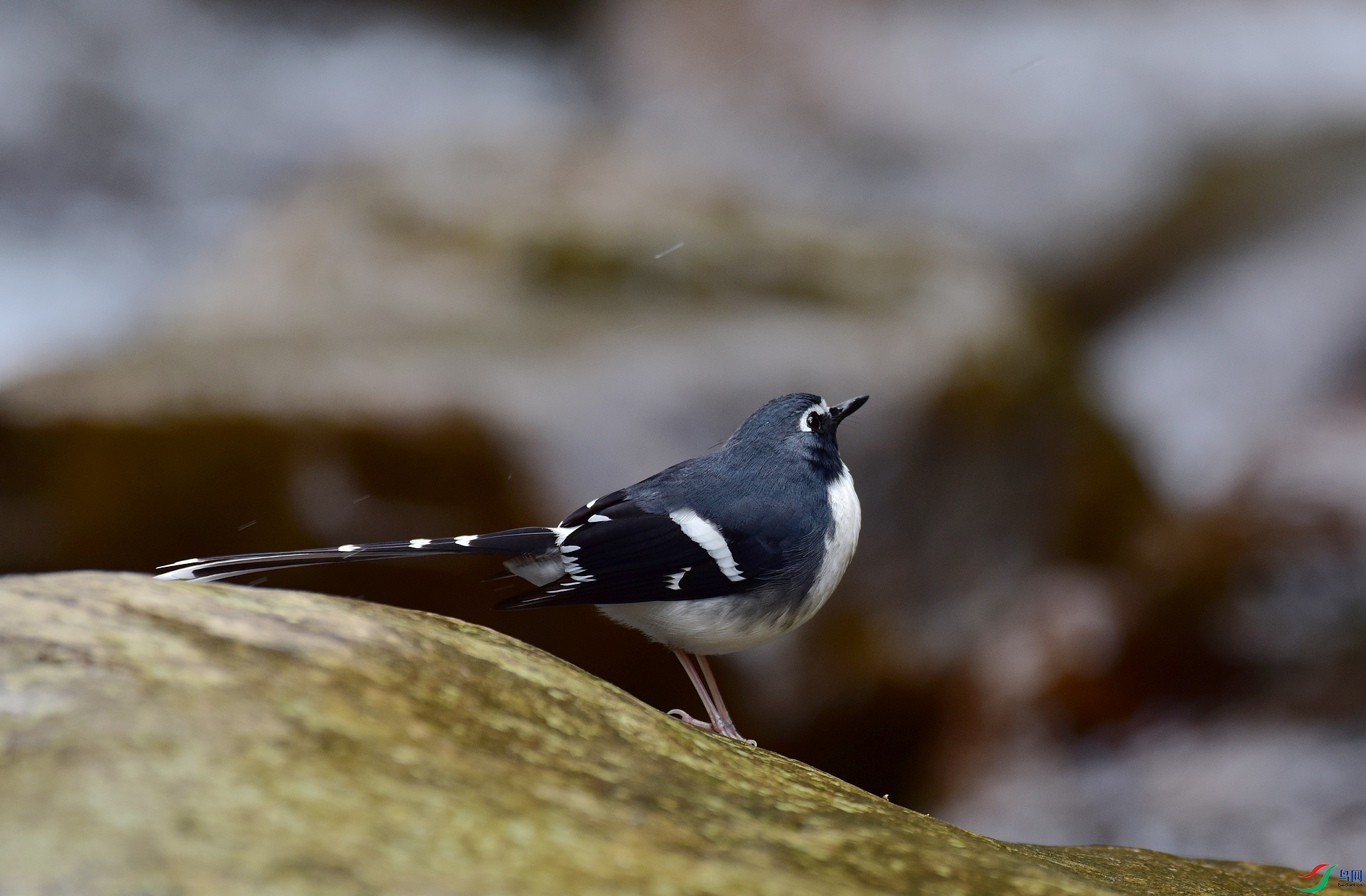 D8I_5718.jpg
