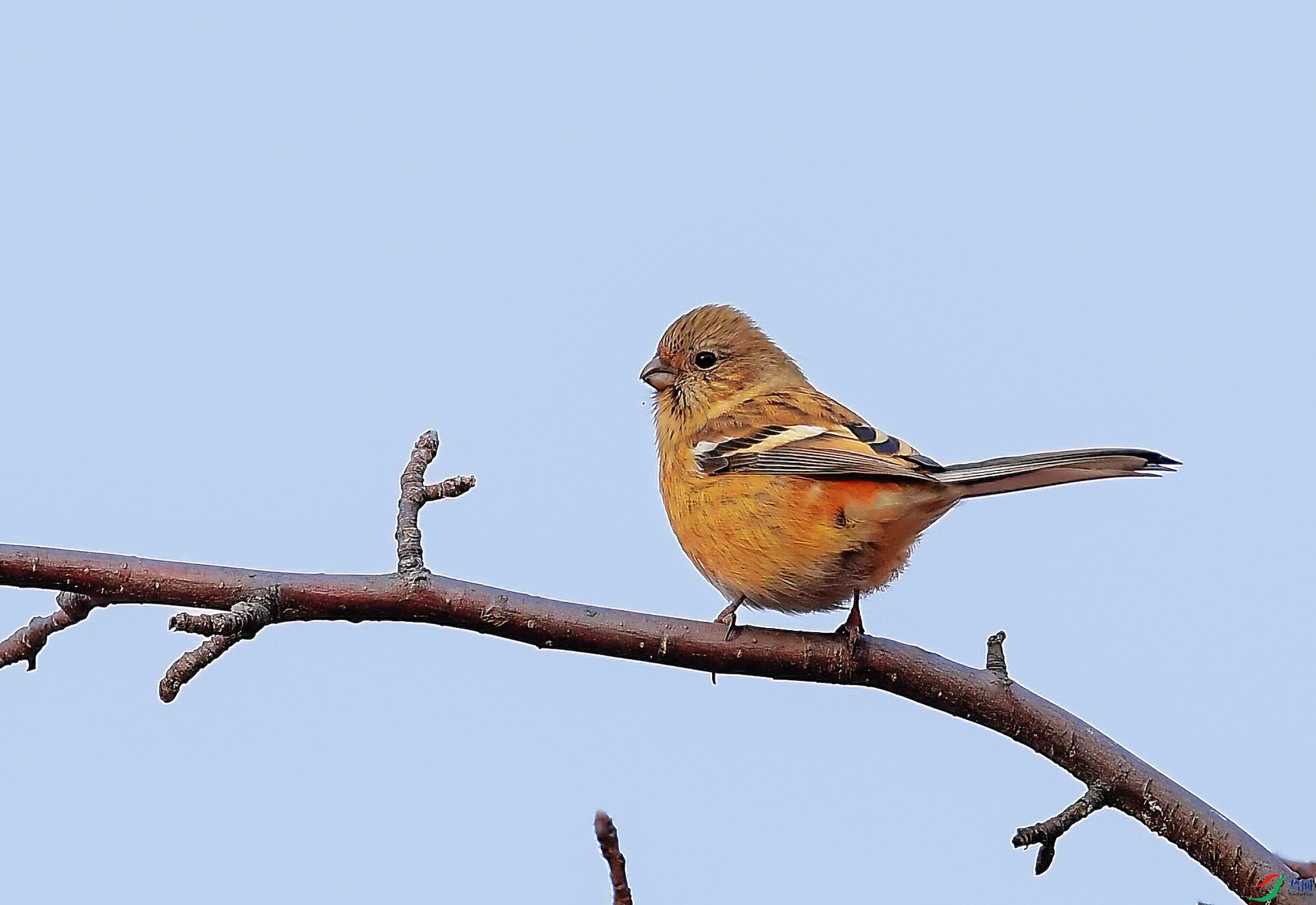 DSC_4400 ����.jpg