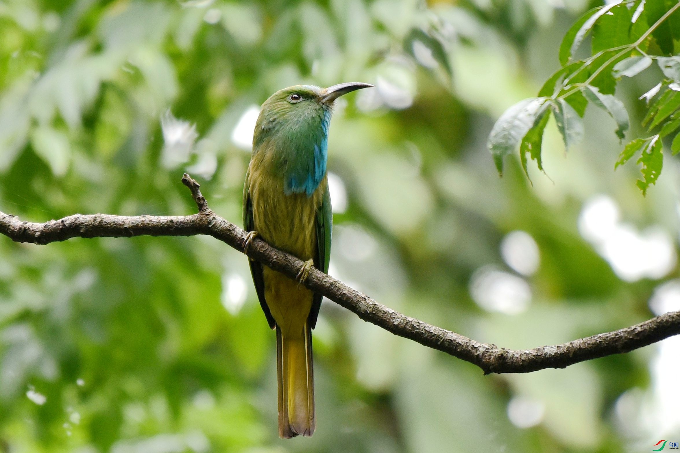 DSC_2937_����.jpg