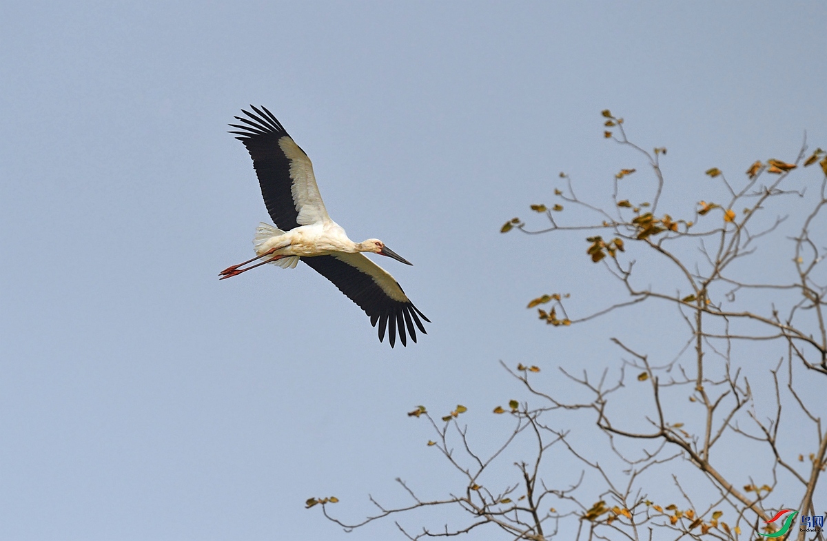 DSC_9871.jpg