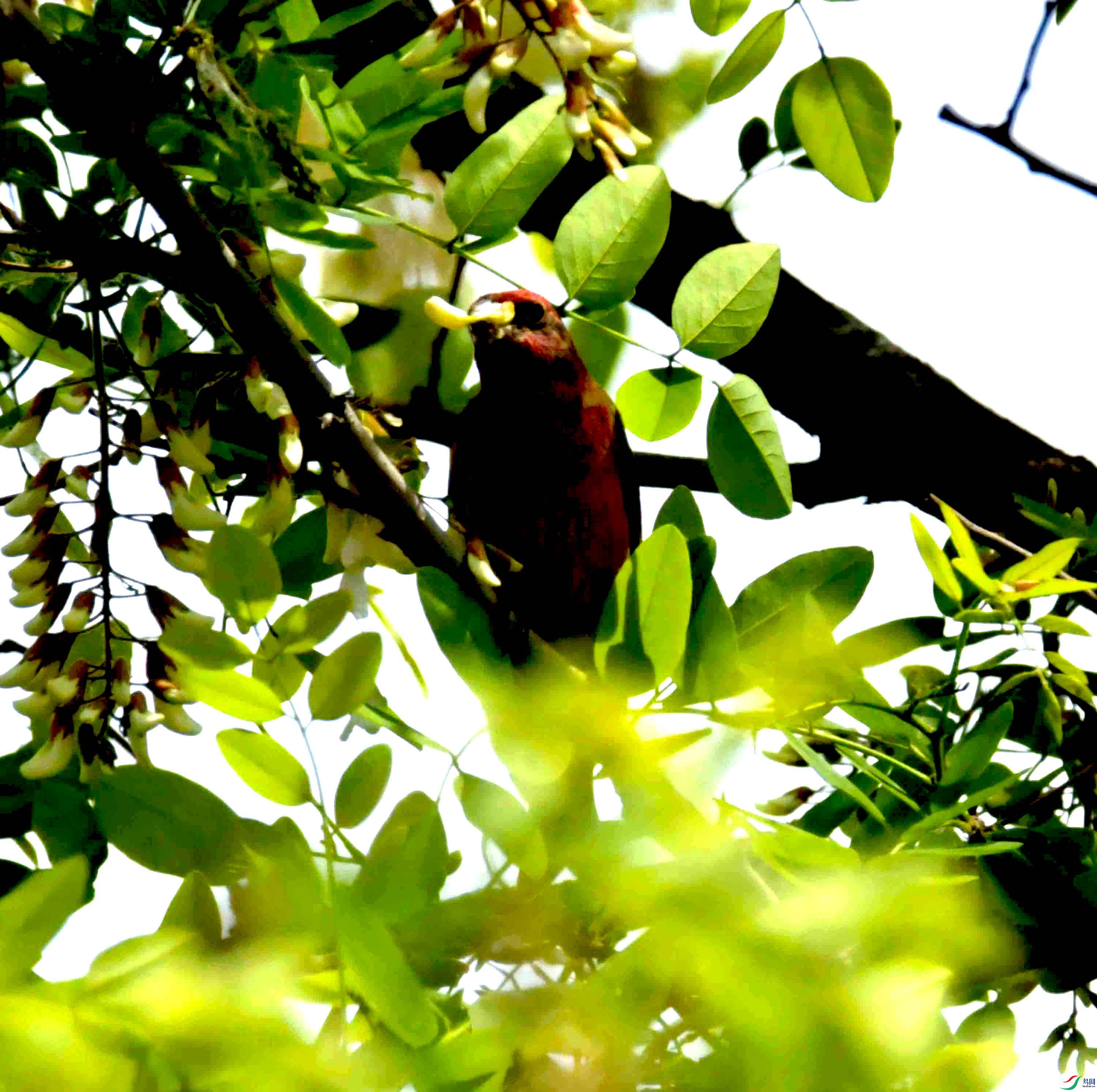 DSC_8134.JPG