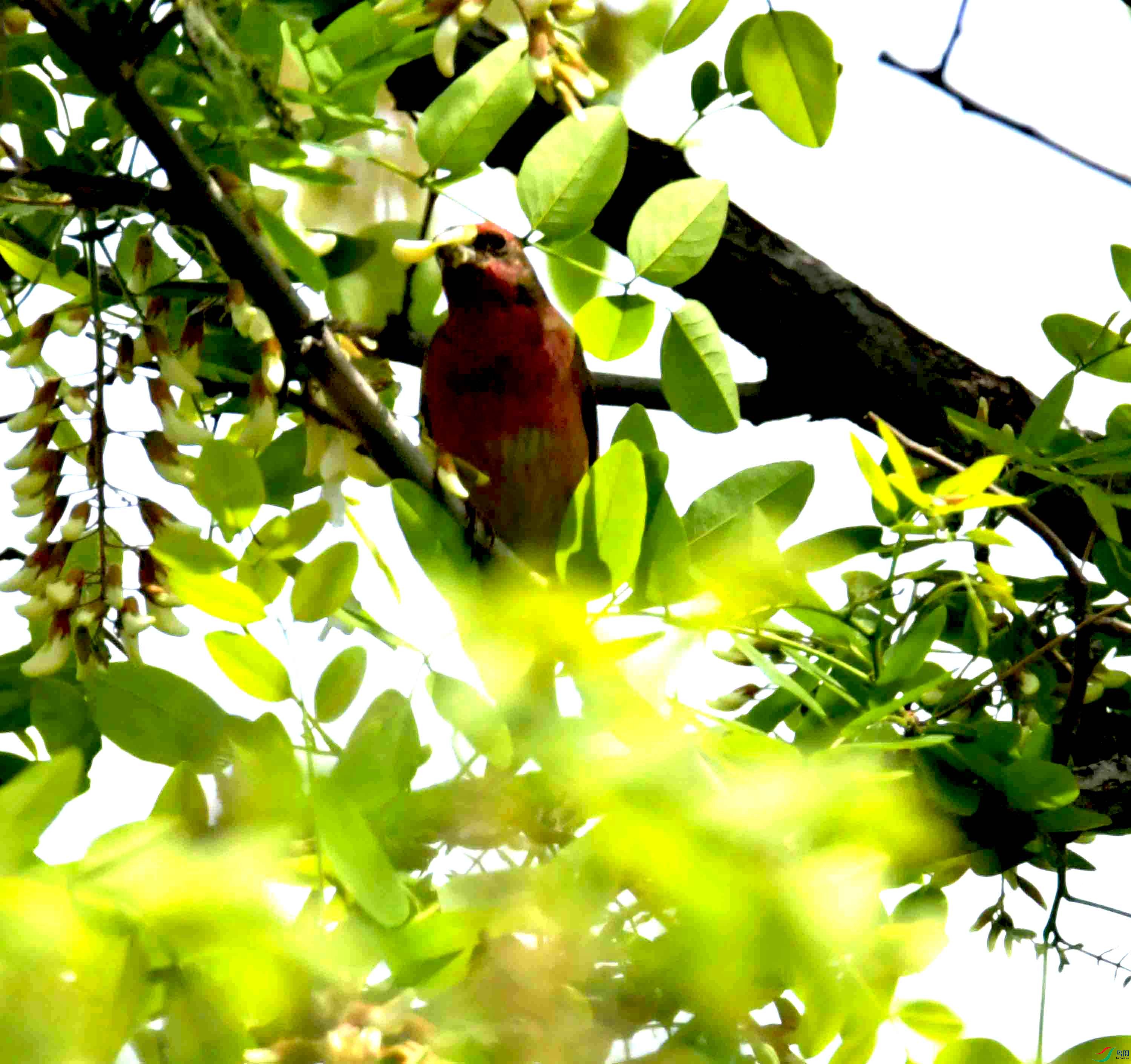 DSC_8135.JPG