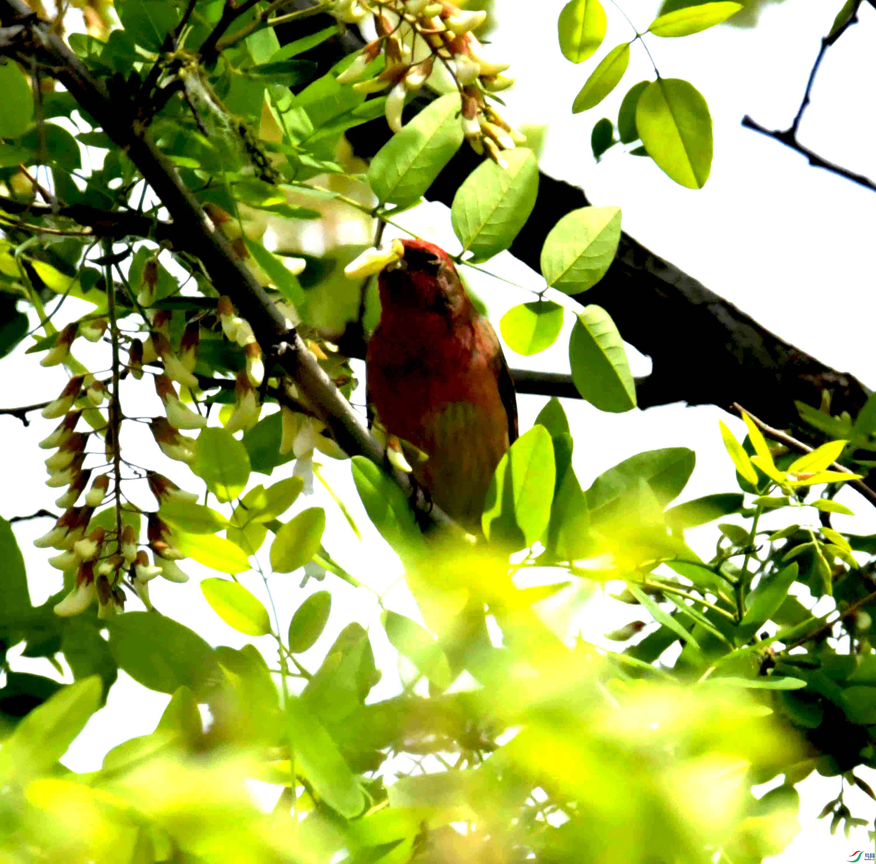 DSC_8133.JPG