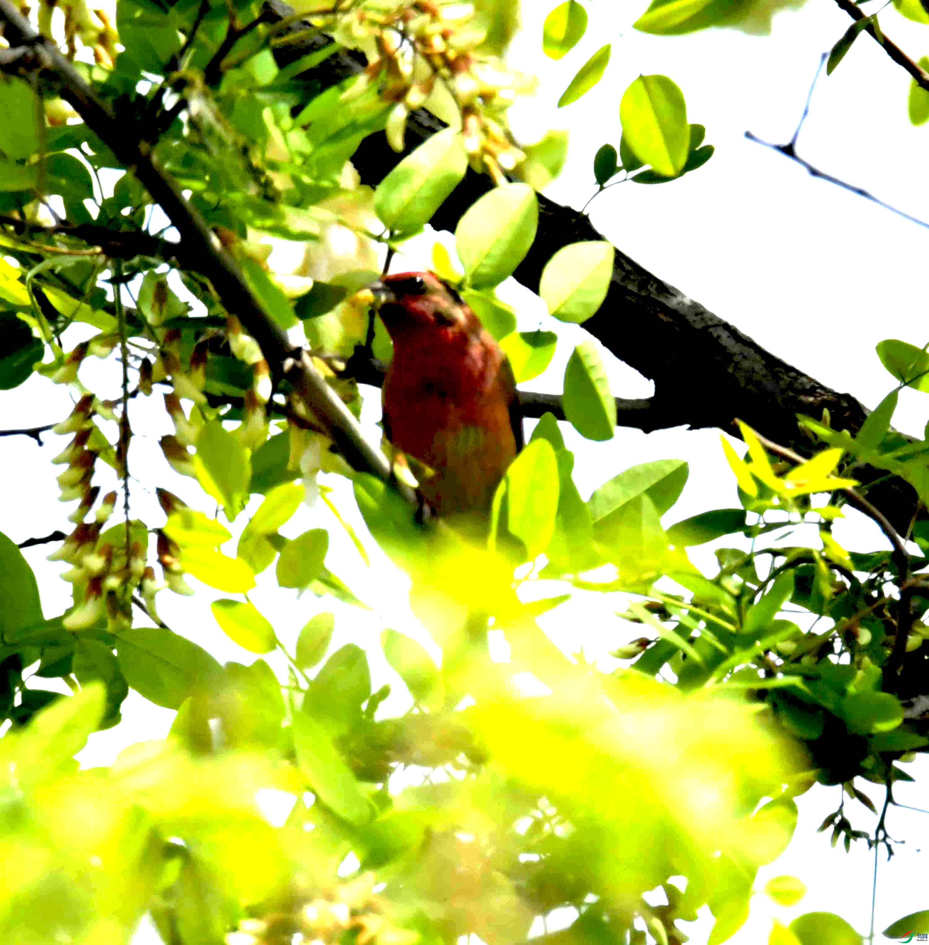 DSC_8139.JPG