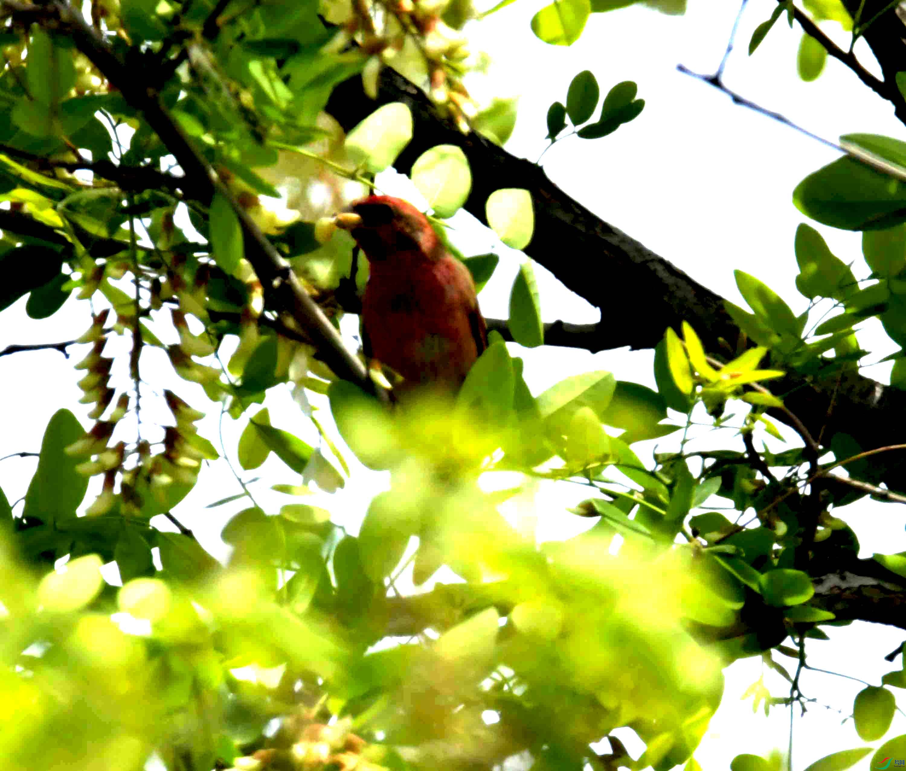 DSC_8149.JPG