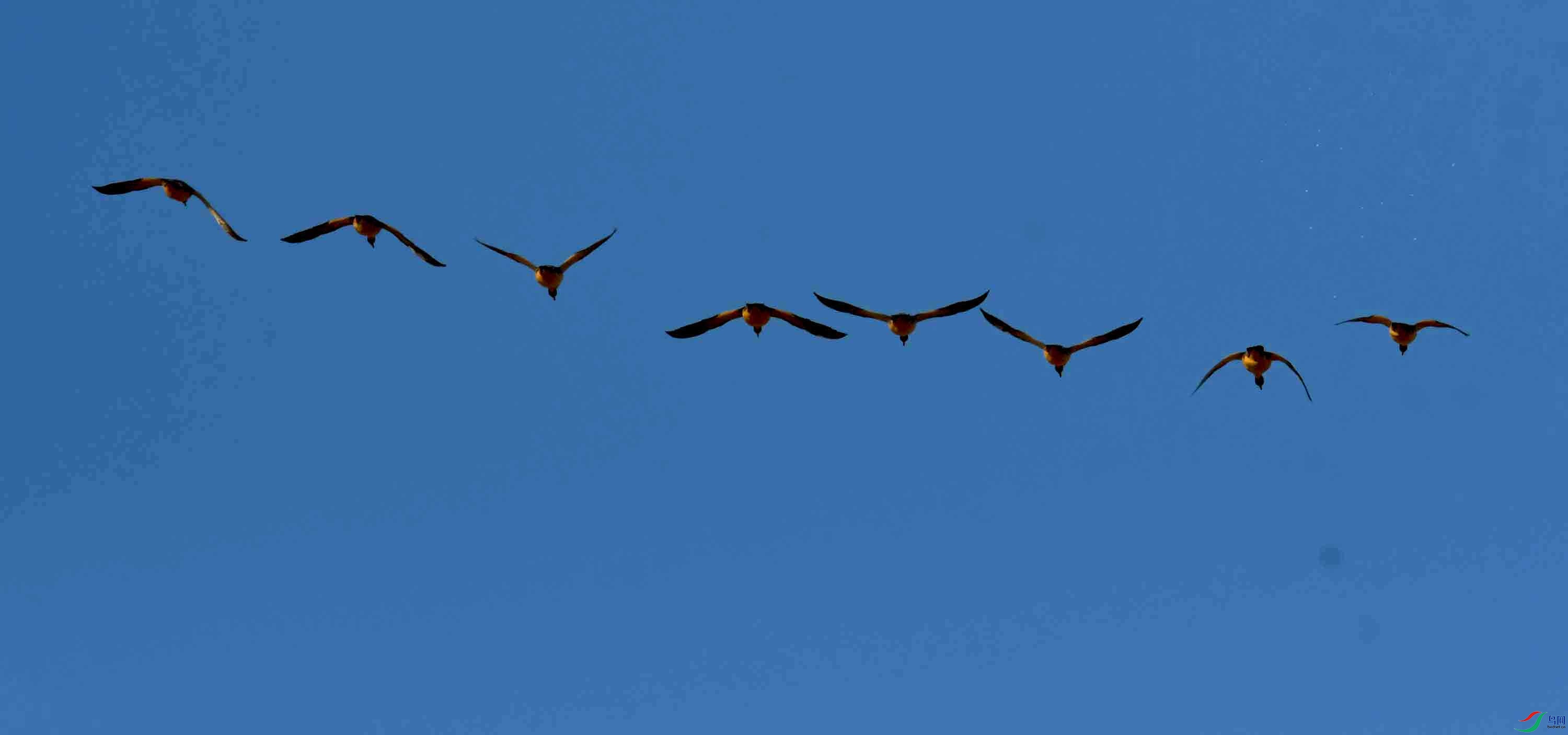 Copy2_DSC_8622.JPG
