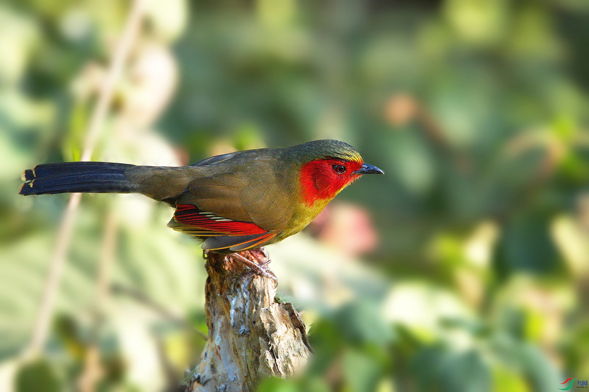 DSC_0586_ - ����.jpg