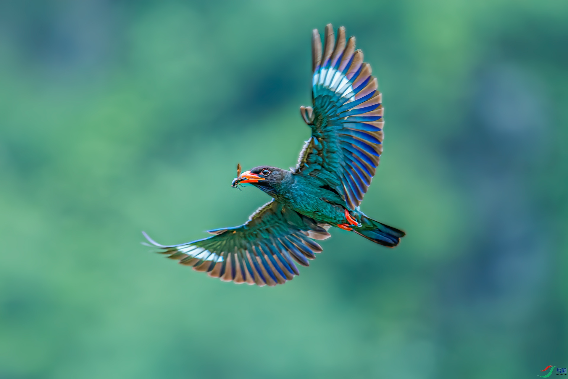 DSC_1848-a500k.jpg