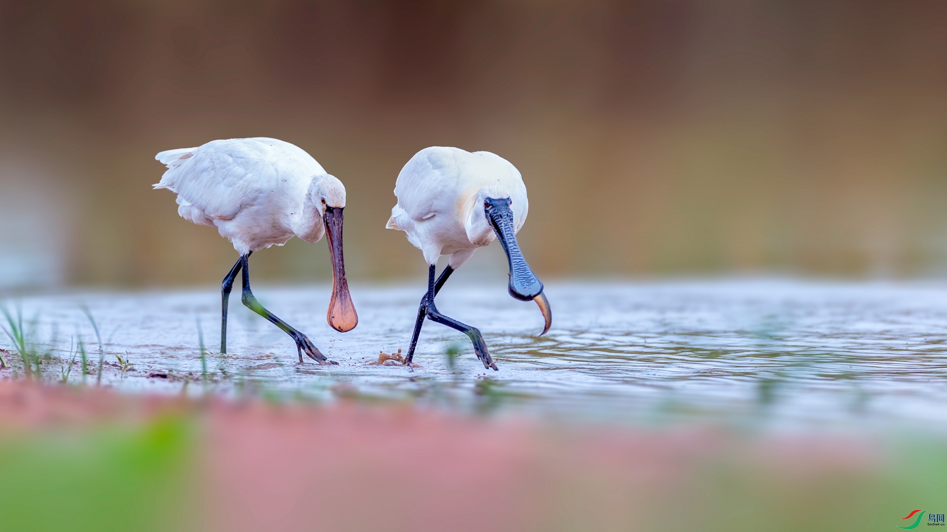 ����һ��