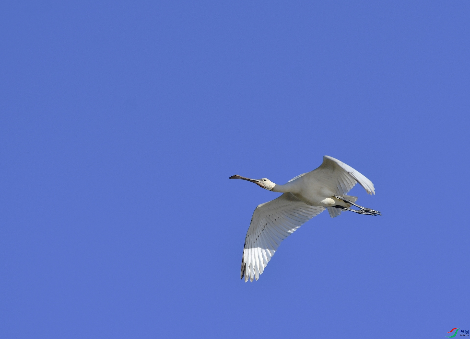 _D5D0469.jpg