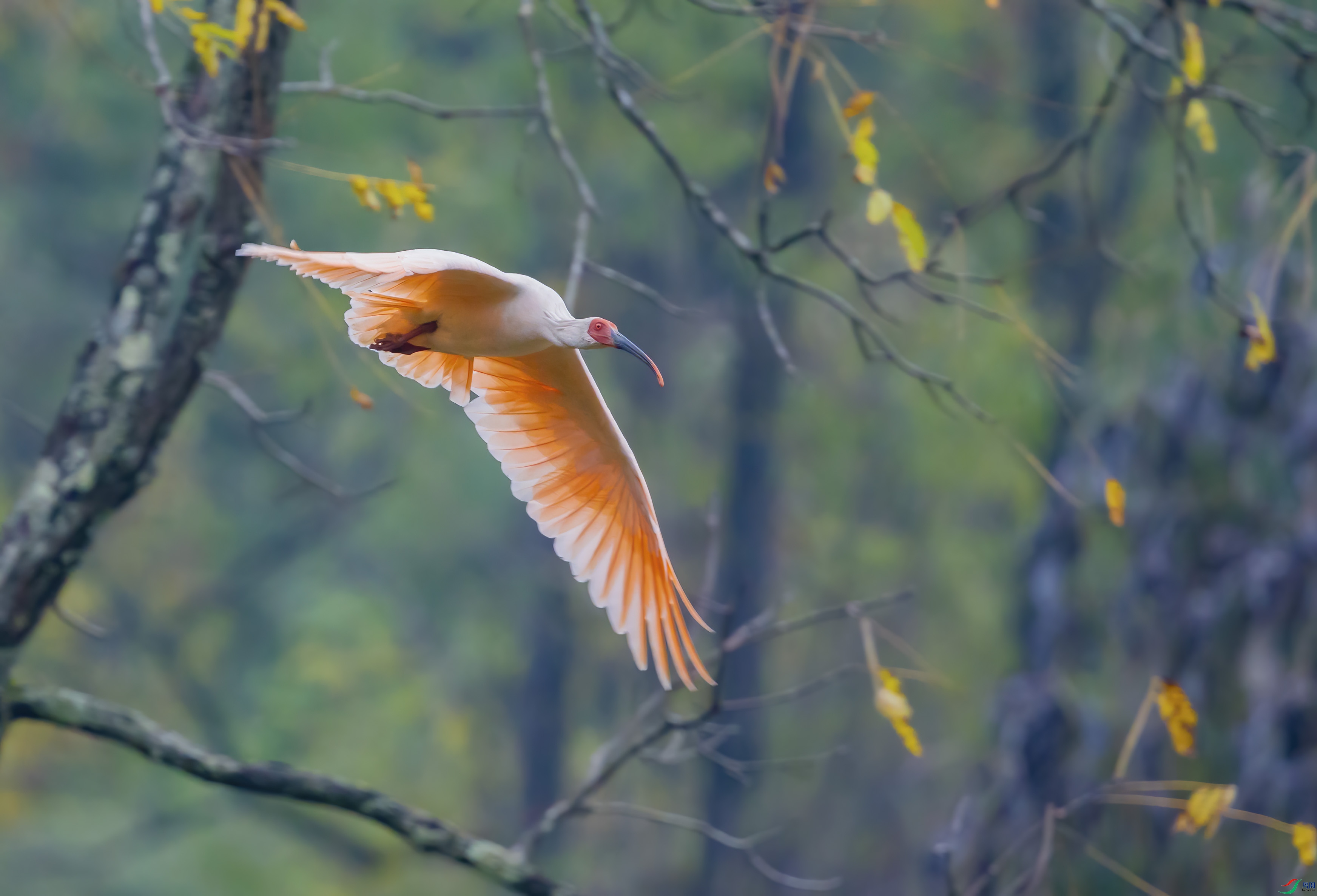 AX7T0475 ����.jpg