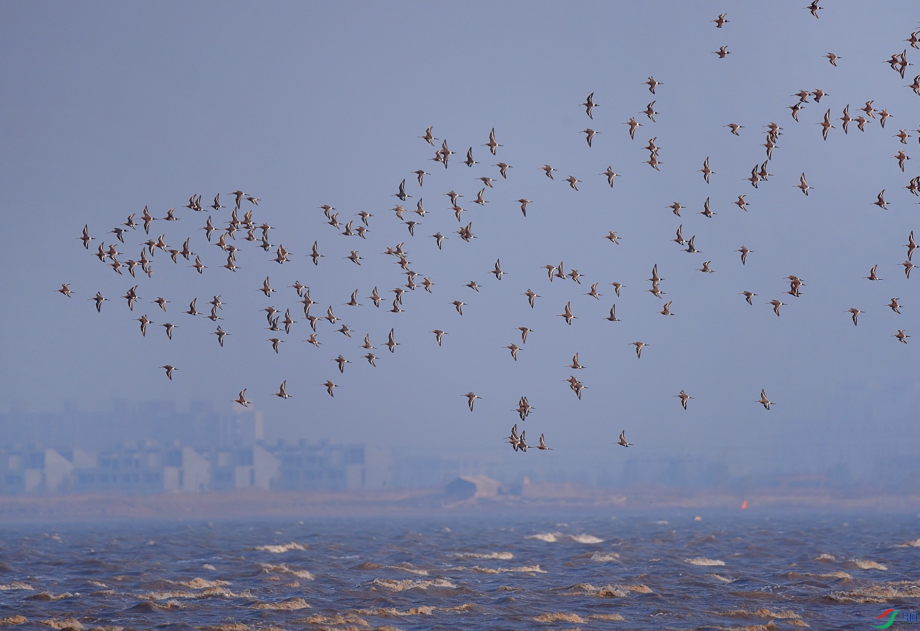DSC_1095.jpg