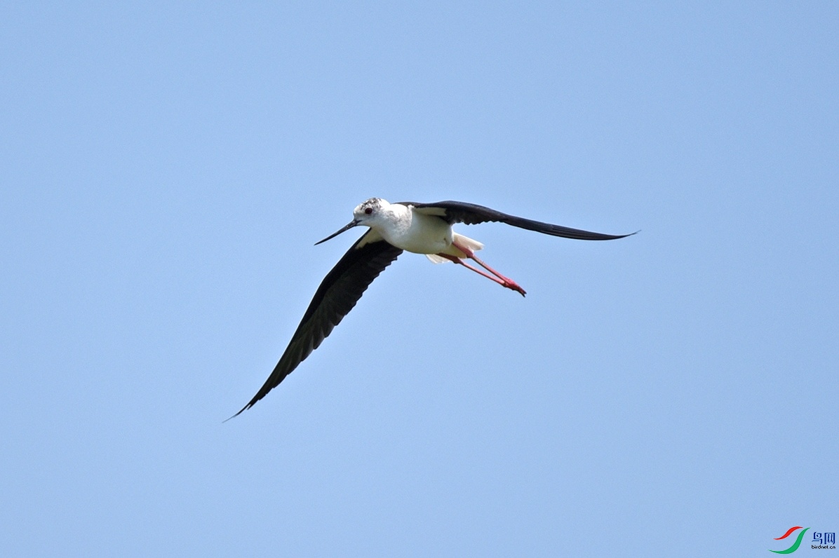 DSC_1242.jpg