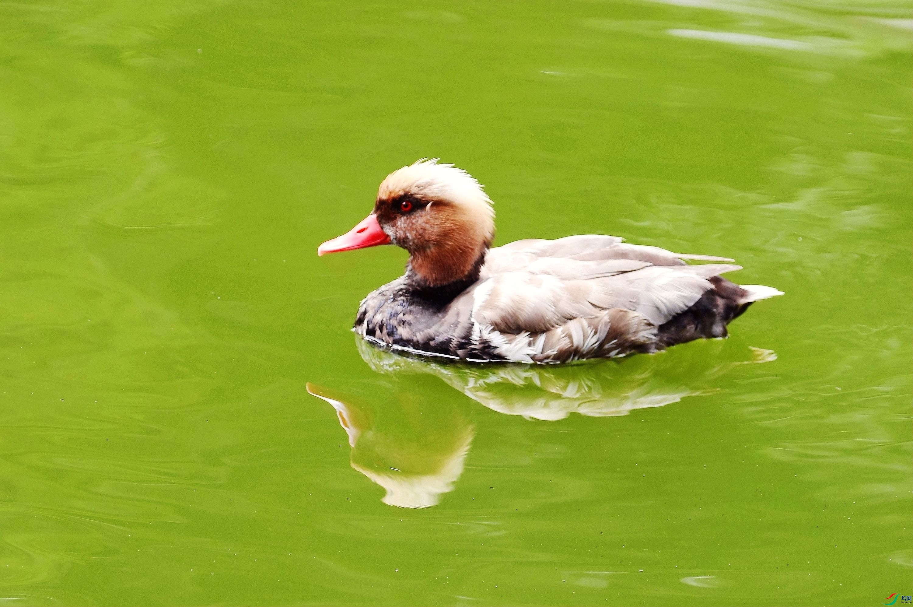 ��Ъ1U4A8245_����.jpg