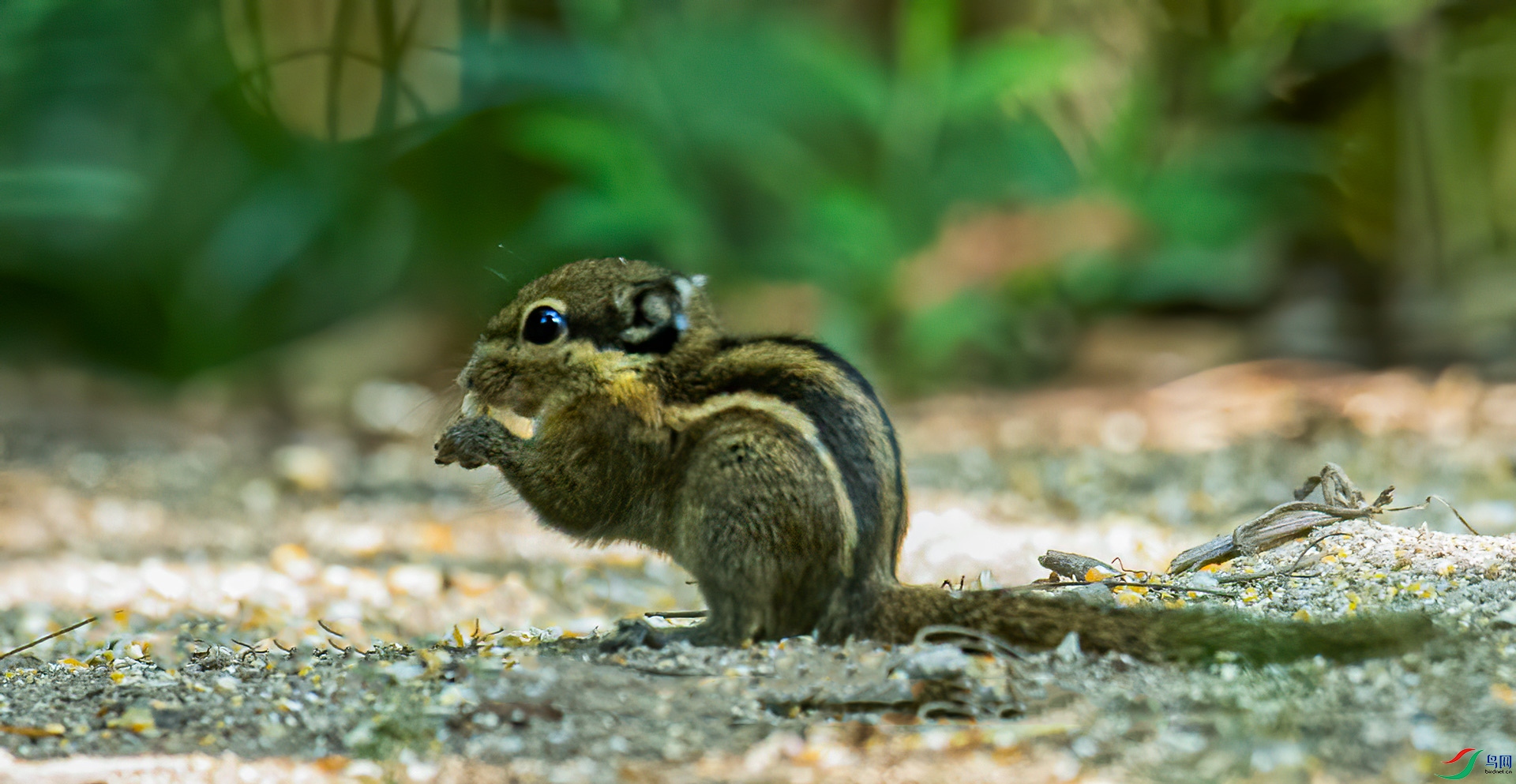 DSC_0038.jpg