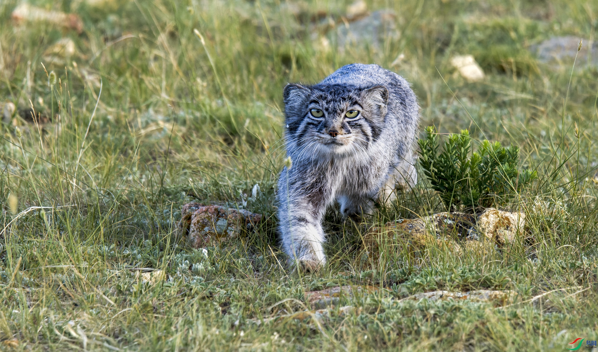 _DSC0920-NEF_DxO_DeepPRIME.jpg
