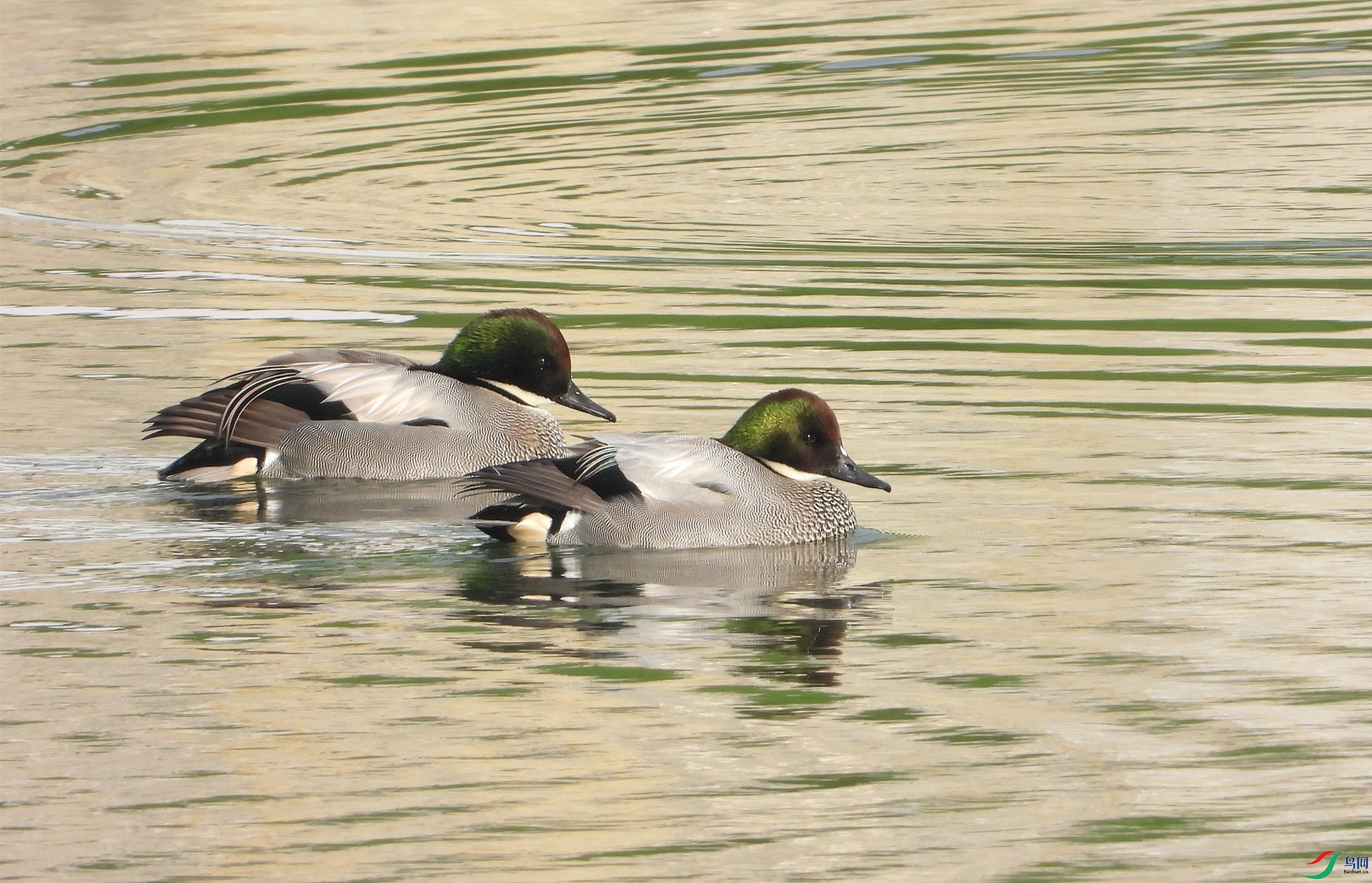 DSCN0685 ����.jpg