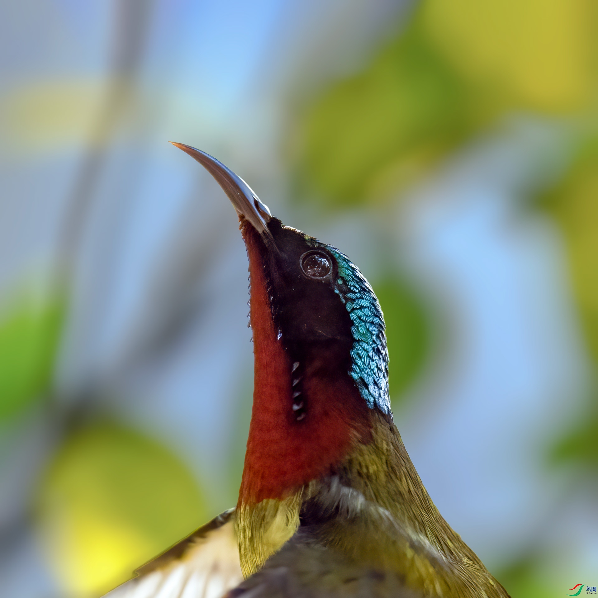 P1063630.jpg