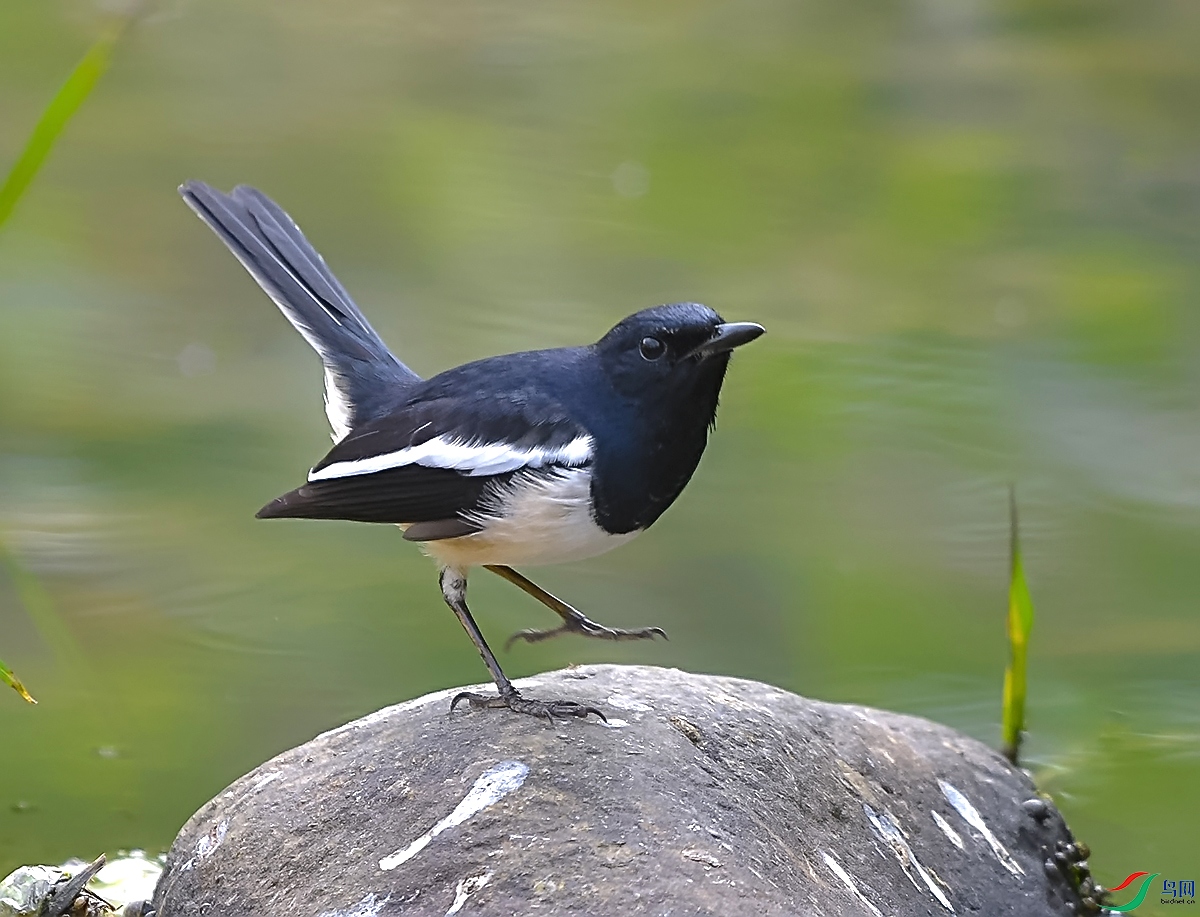 DSC_0048.JPG