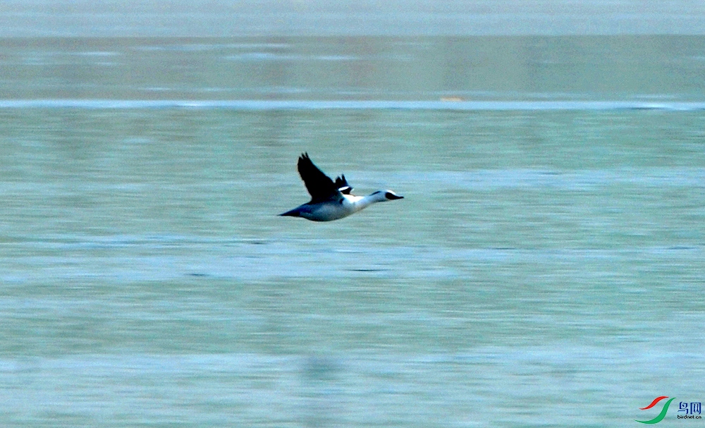 DSC_4839.JPG