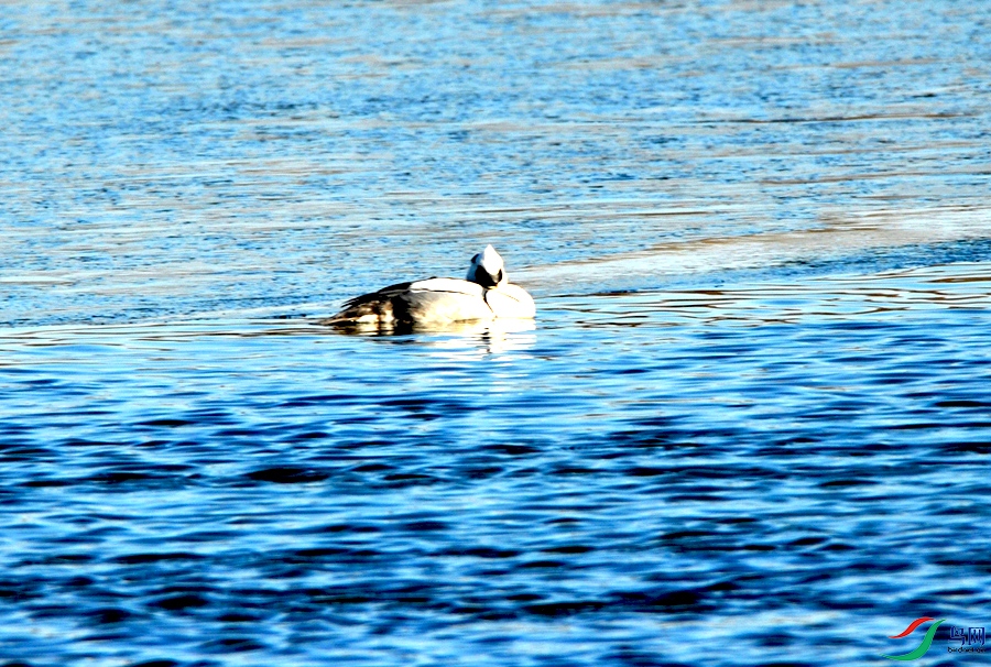 DSC_4543.JPG