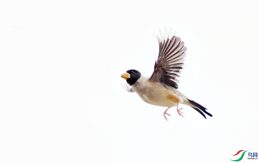 DSC_8786.JPG