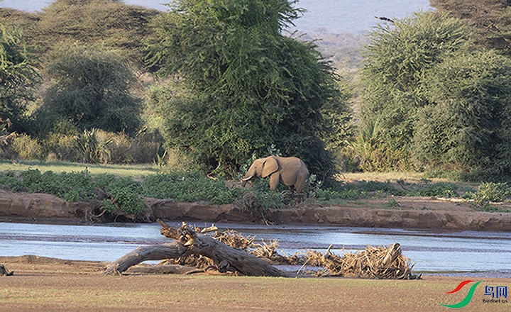 ���� (2).jpg