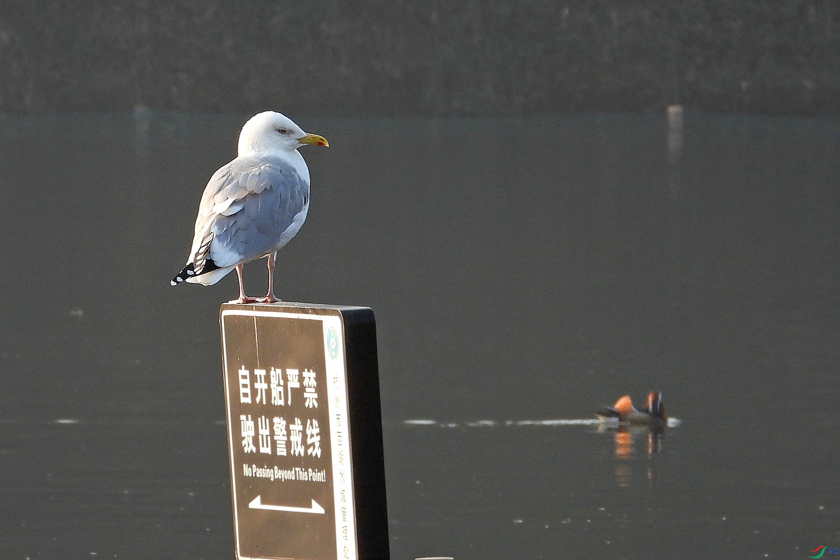 DSCN2292.JPG
