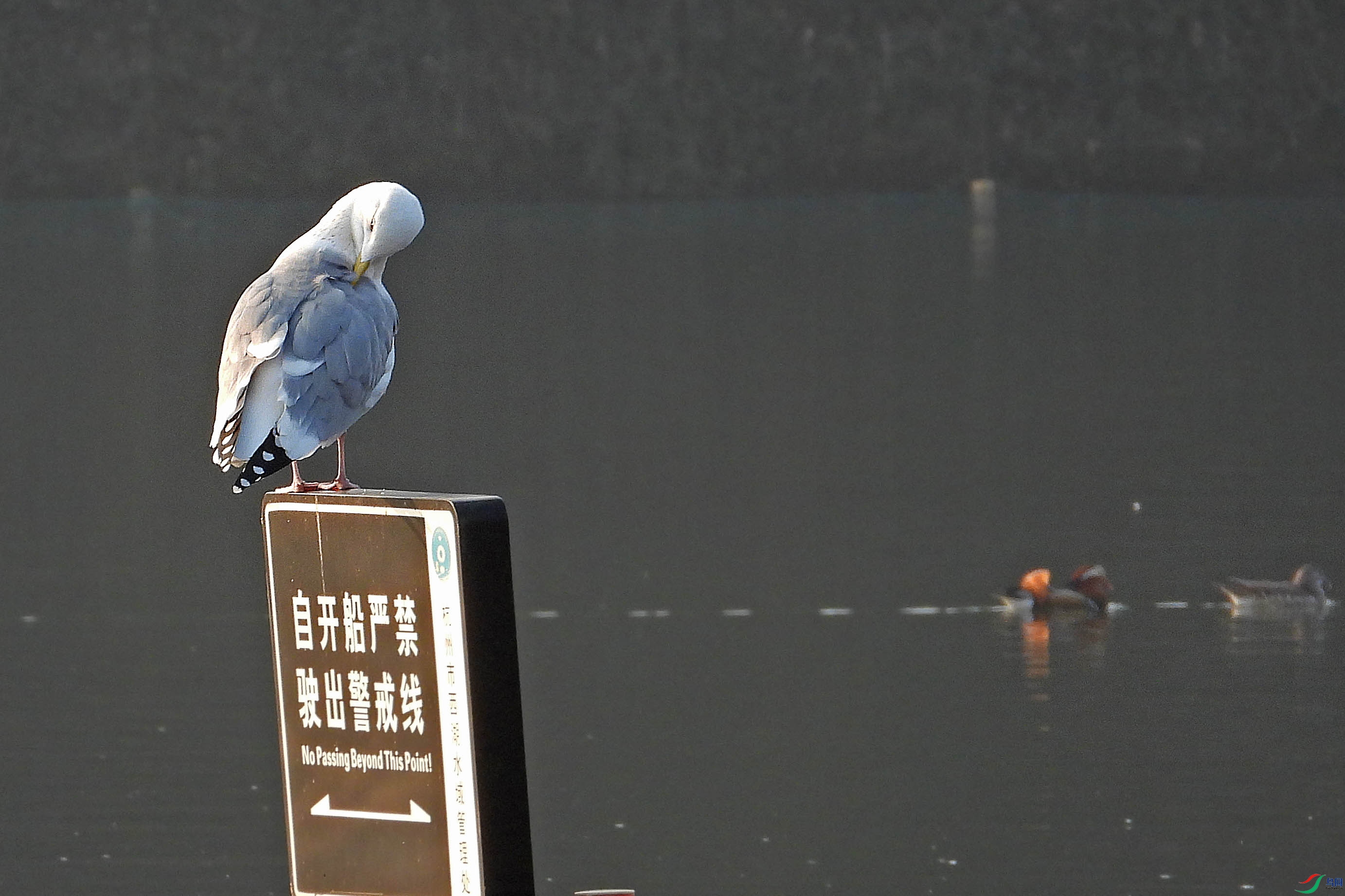 DSCN2298.JPG