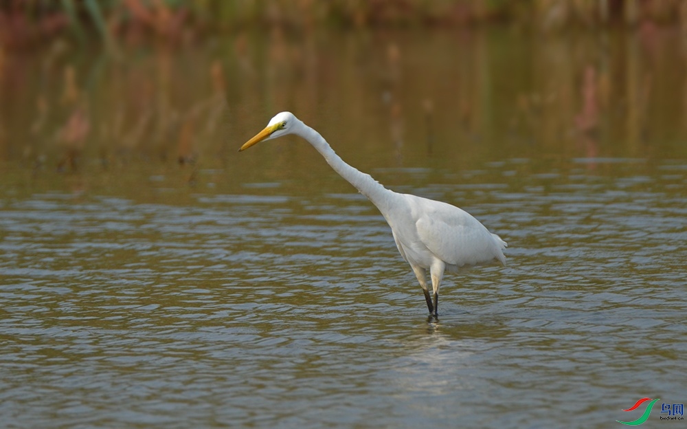 DSC_0139.jpg