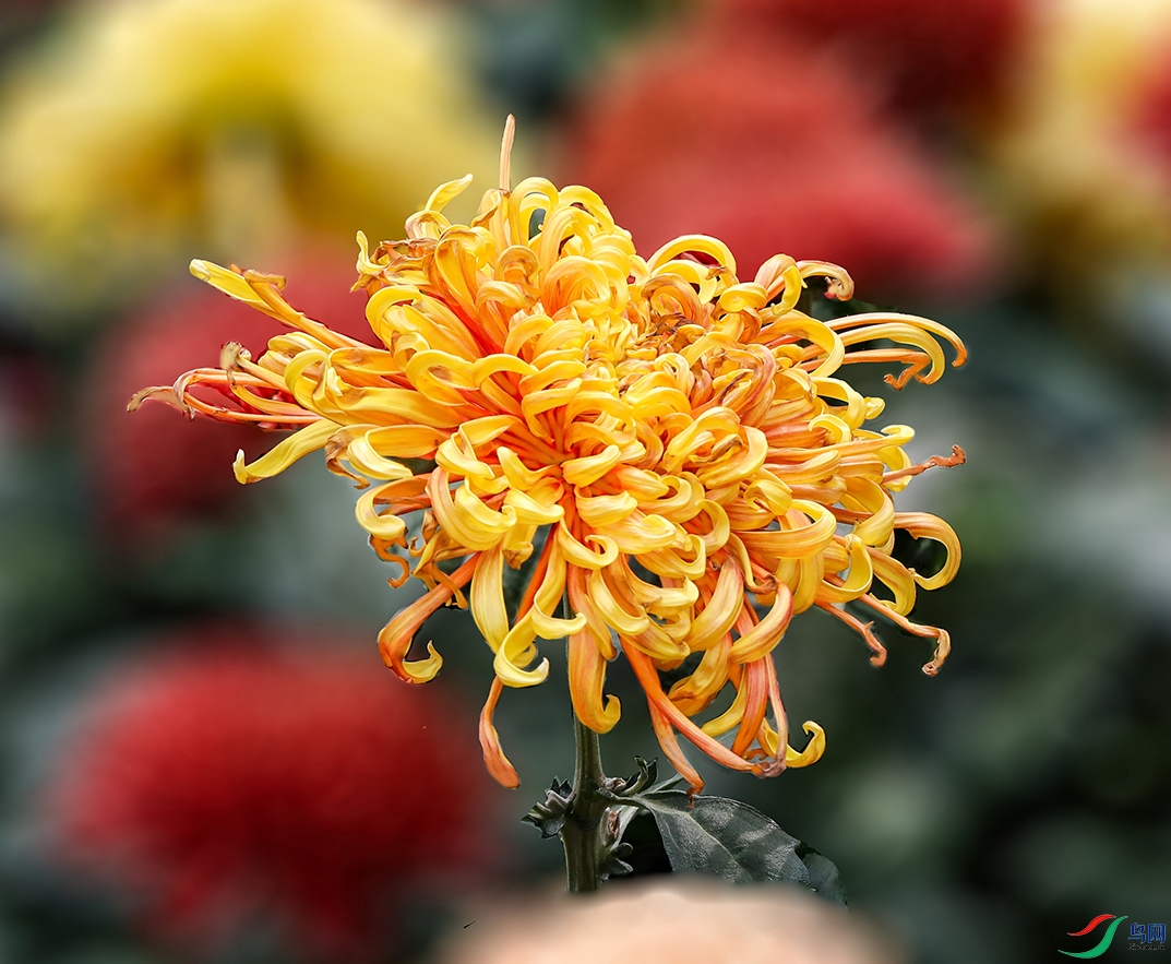 00000583A0010 ����������� 800k.jpg