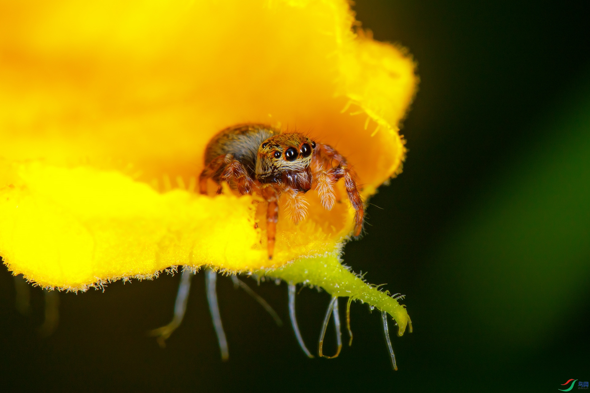 EC6A5724_����.jpg