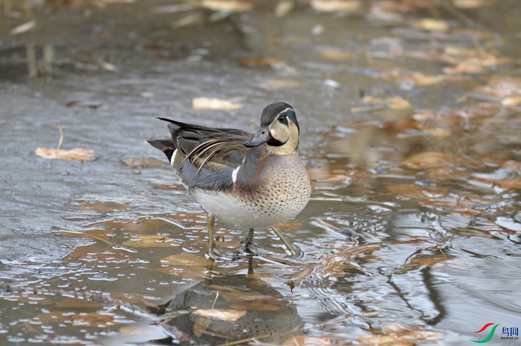 �῵340���� 366_����.jpg