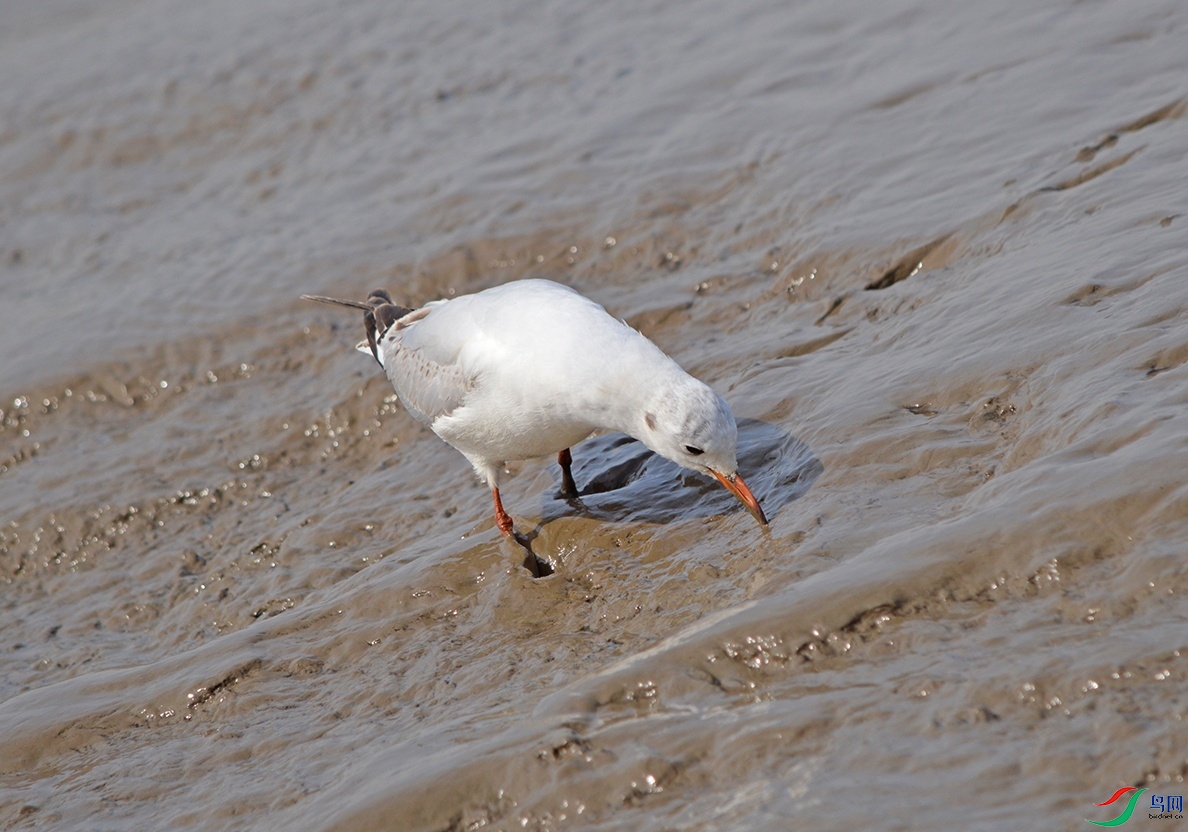 DSC_0056.jpg