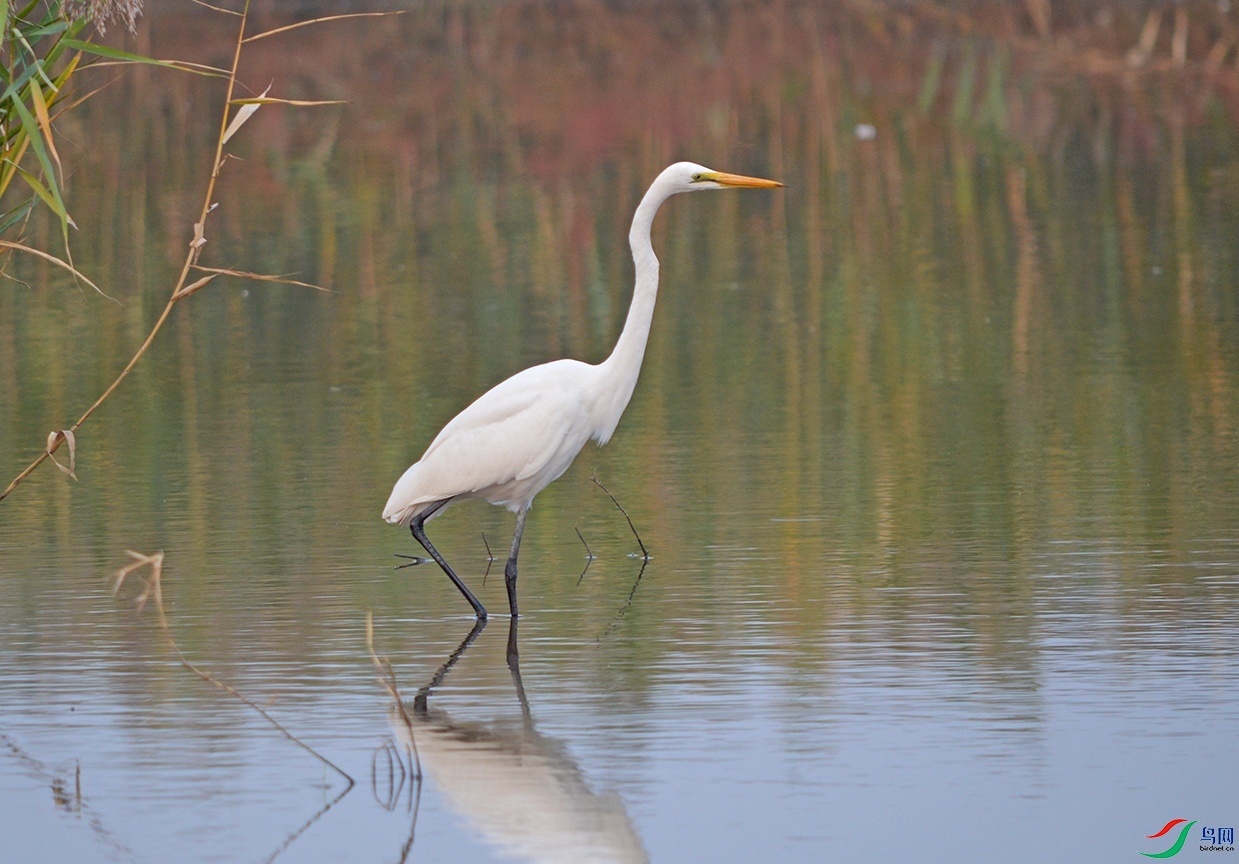 DSC_0146.jpg
