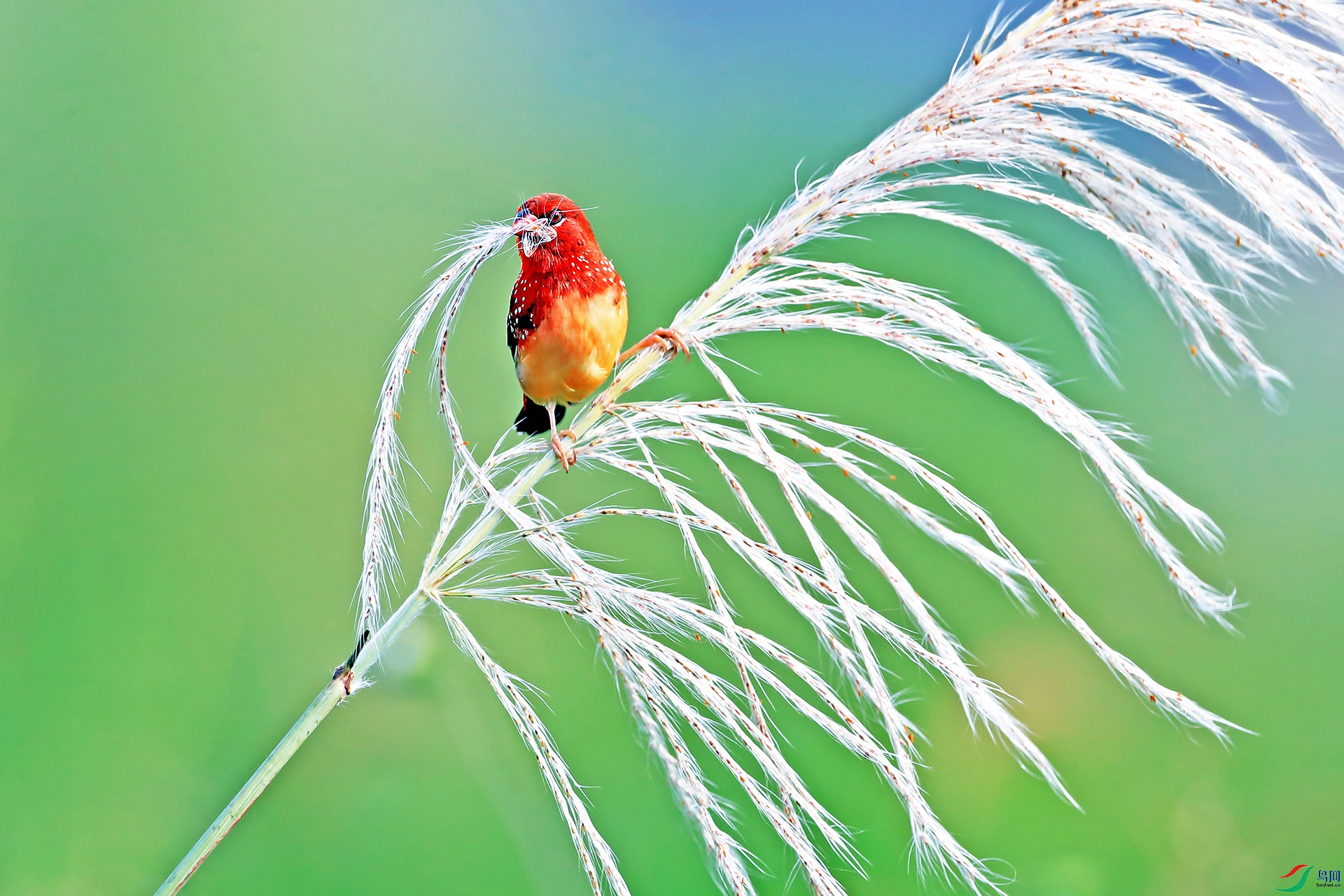 ��÷��ȸ0028-1.jpg