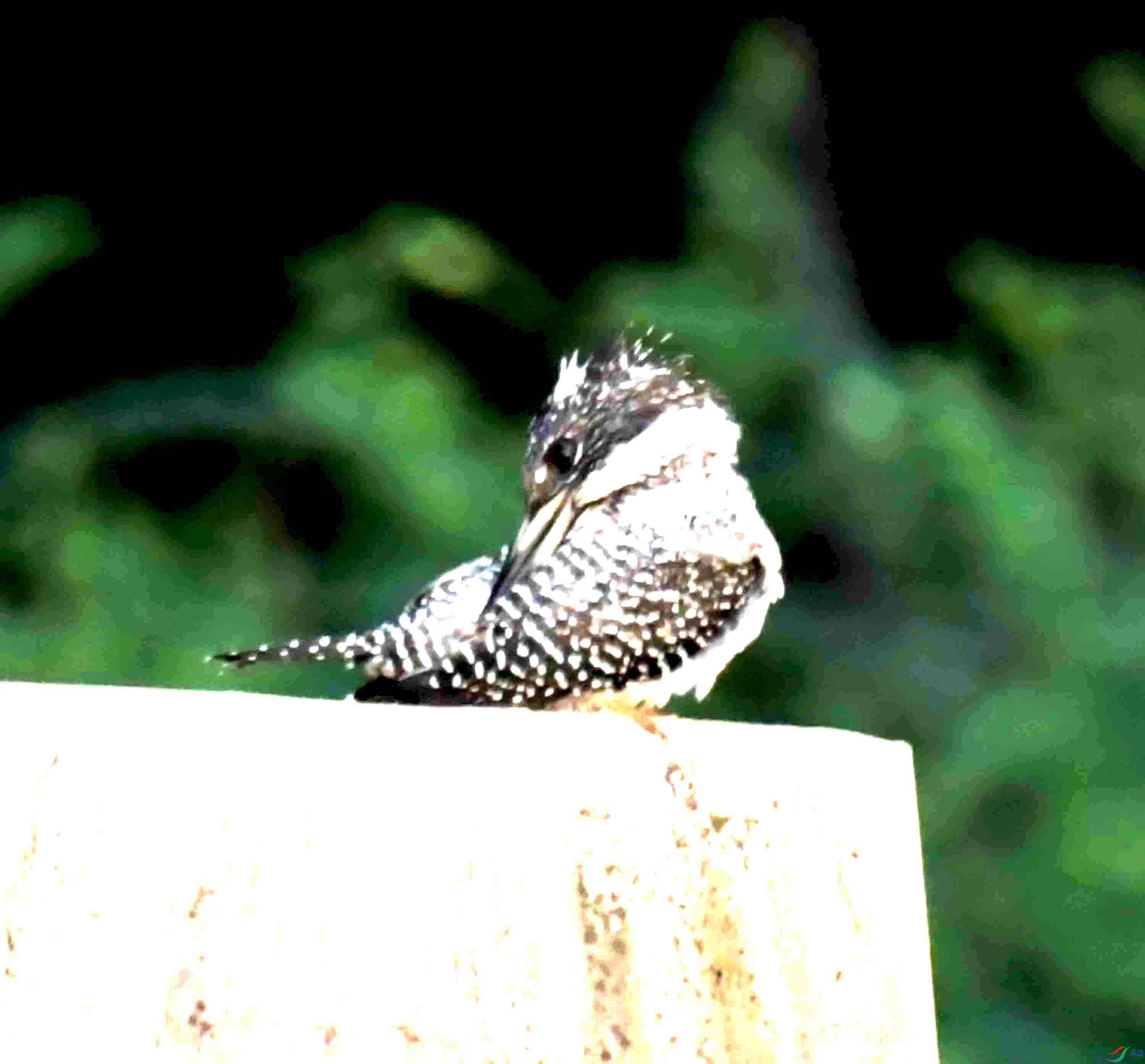 DSC_5328.JPG