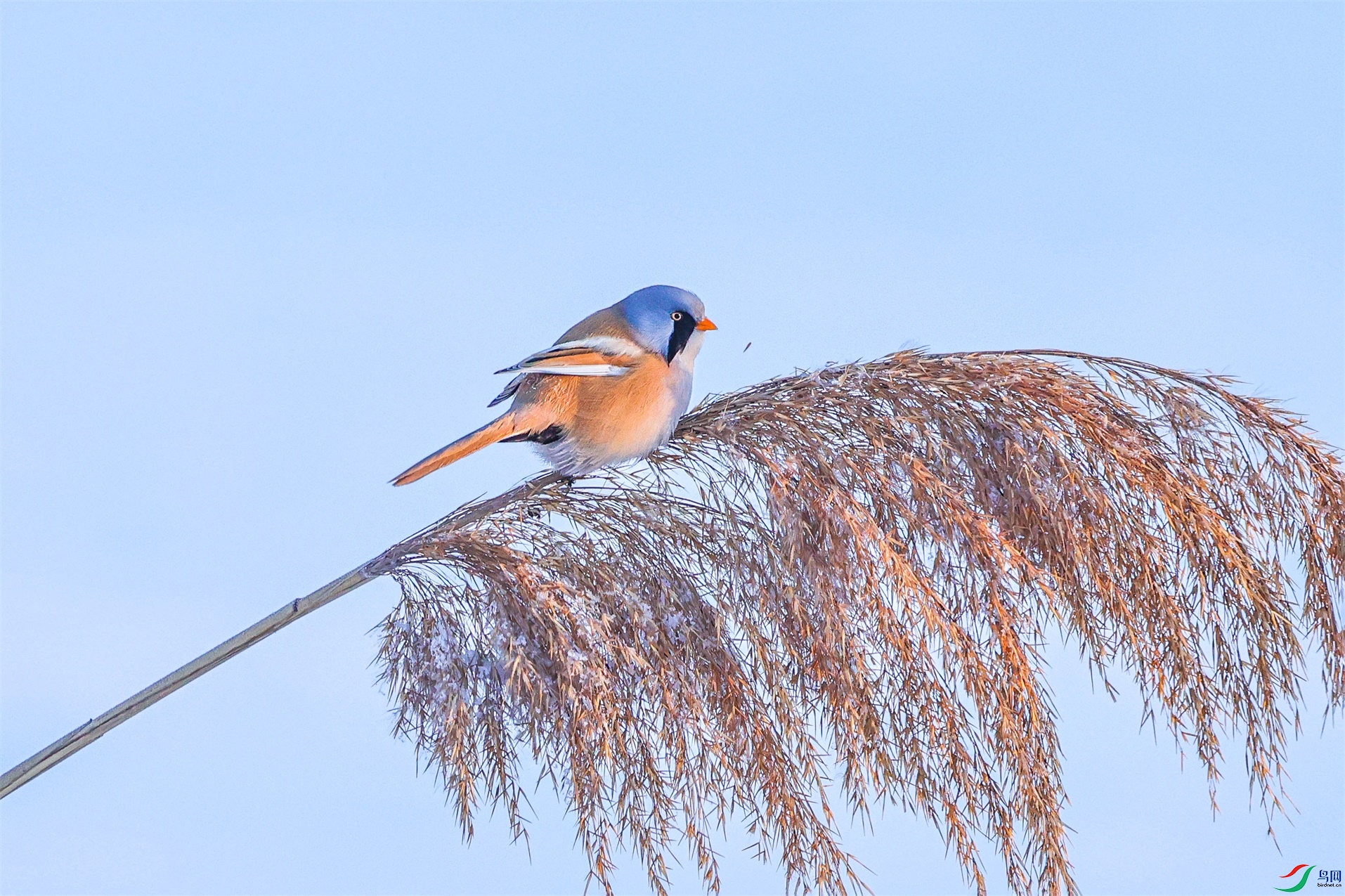 1K3A8600 ����1.jpg