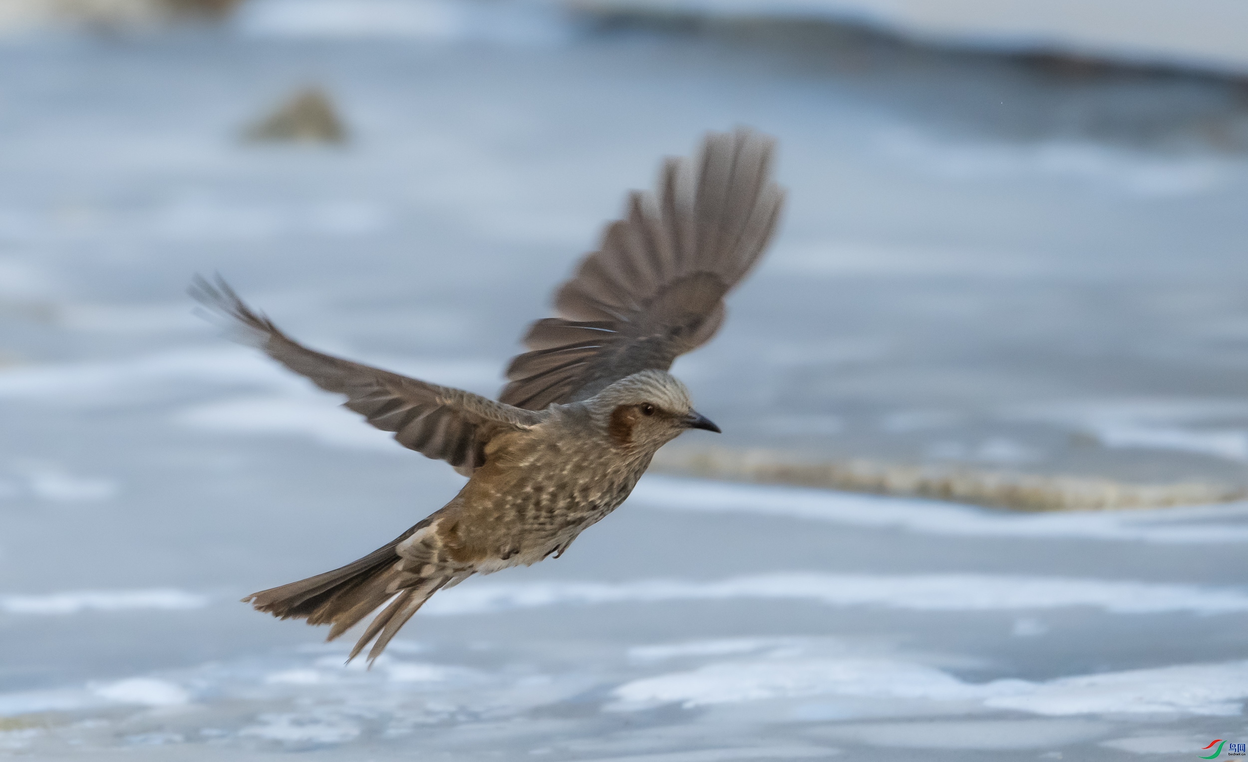 �����̽���