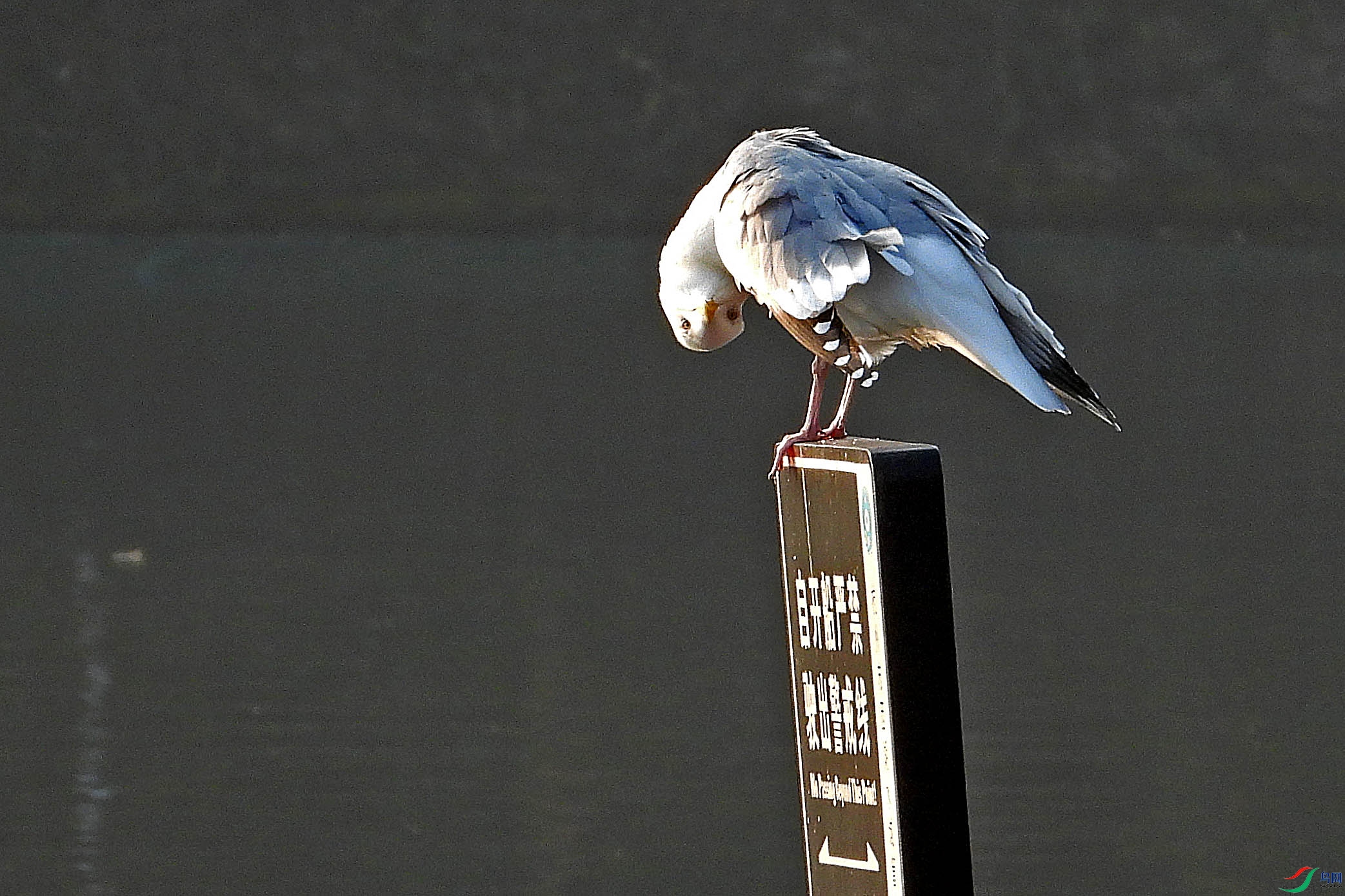 DSCN2354.JPG