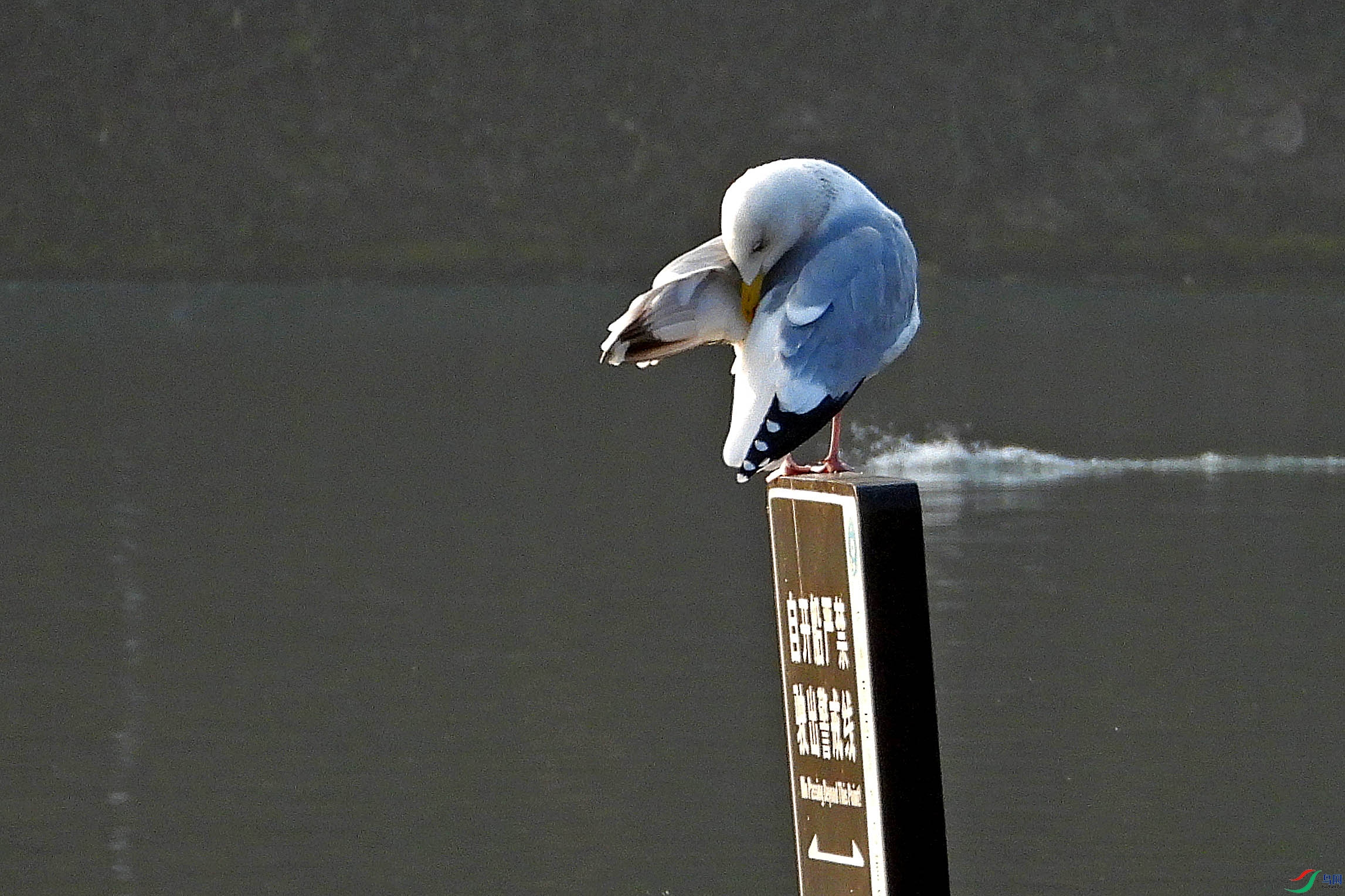 DSCN2313.JPG