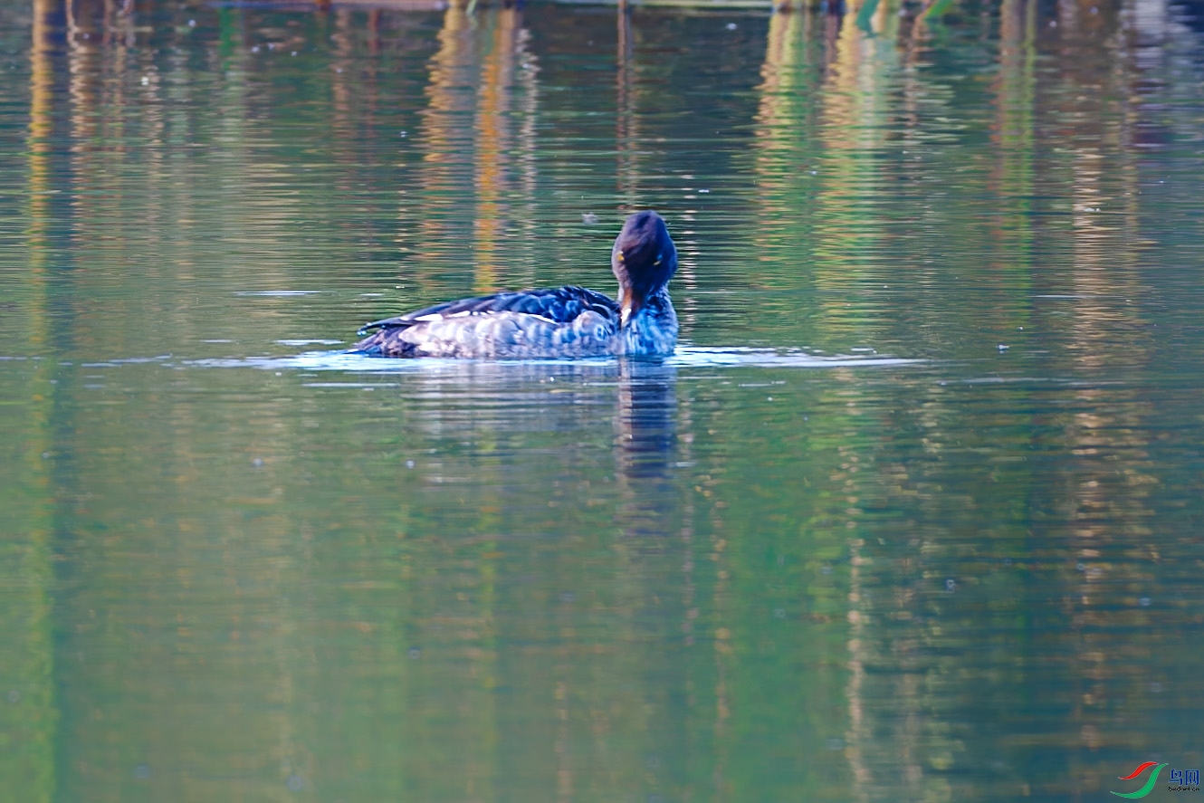 _DSC4277_DxO.jpg