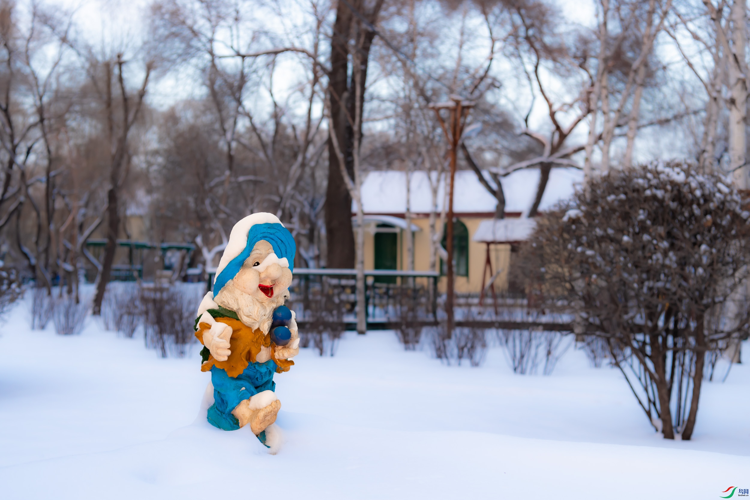 ��ѩͯ������֮��